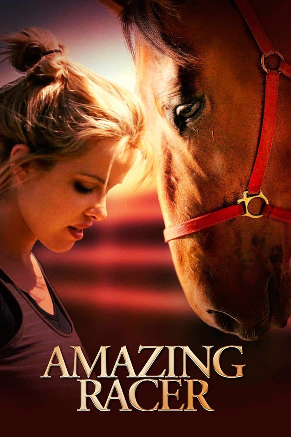 Amazing Racer full movie