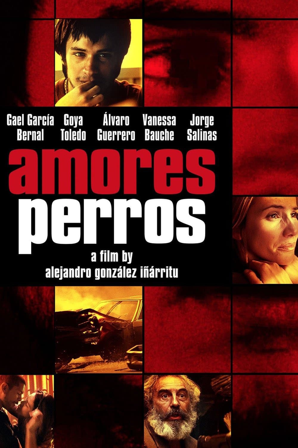 Amores Perros full movie
