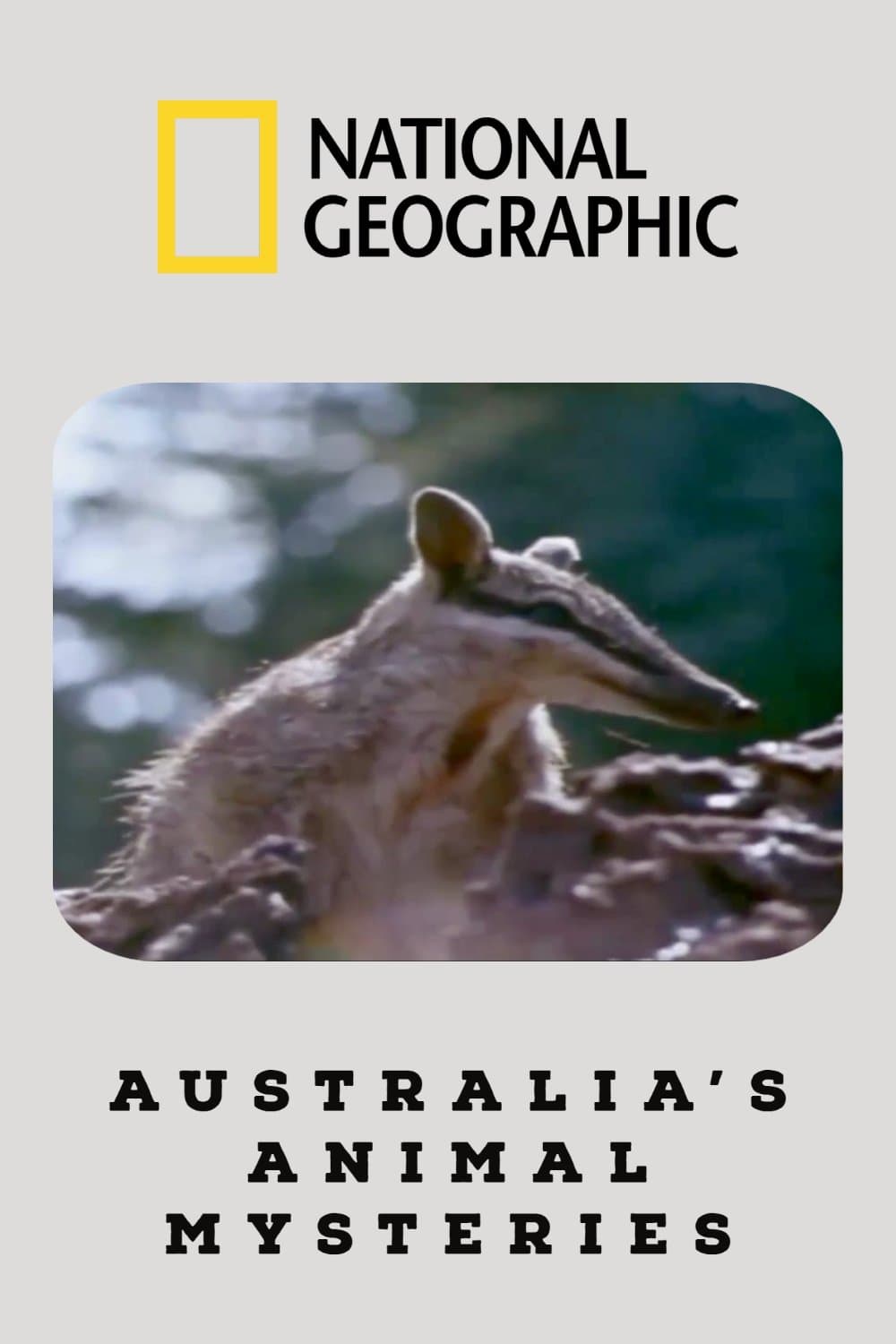 Australia's Animal Mysteries full movie