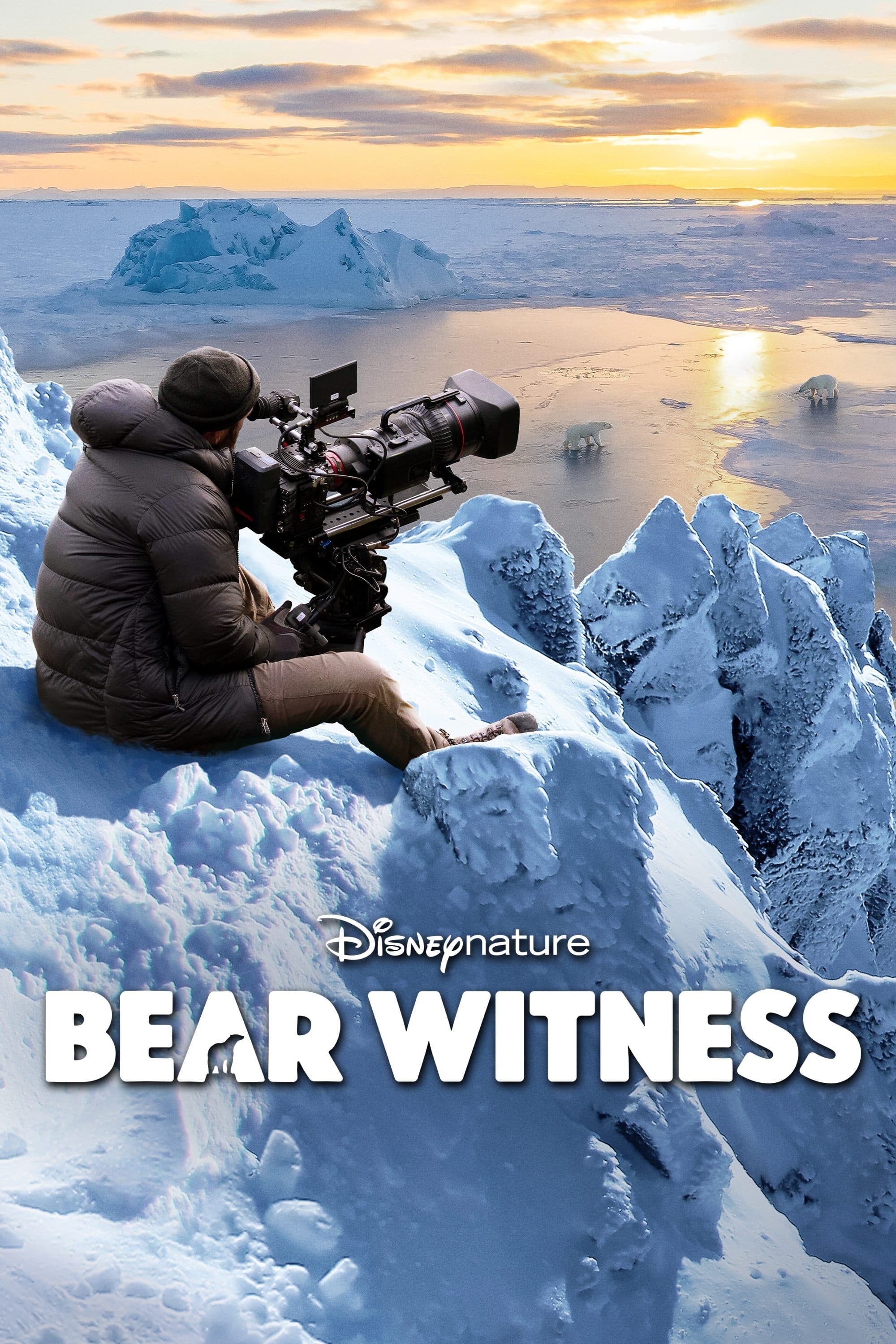 Bear Witness full movie
