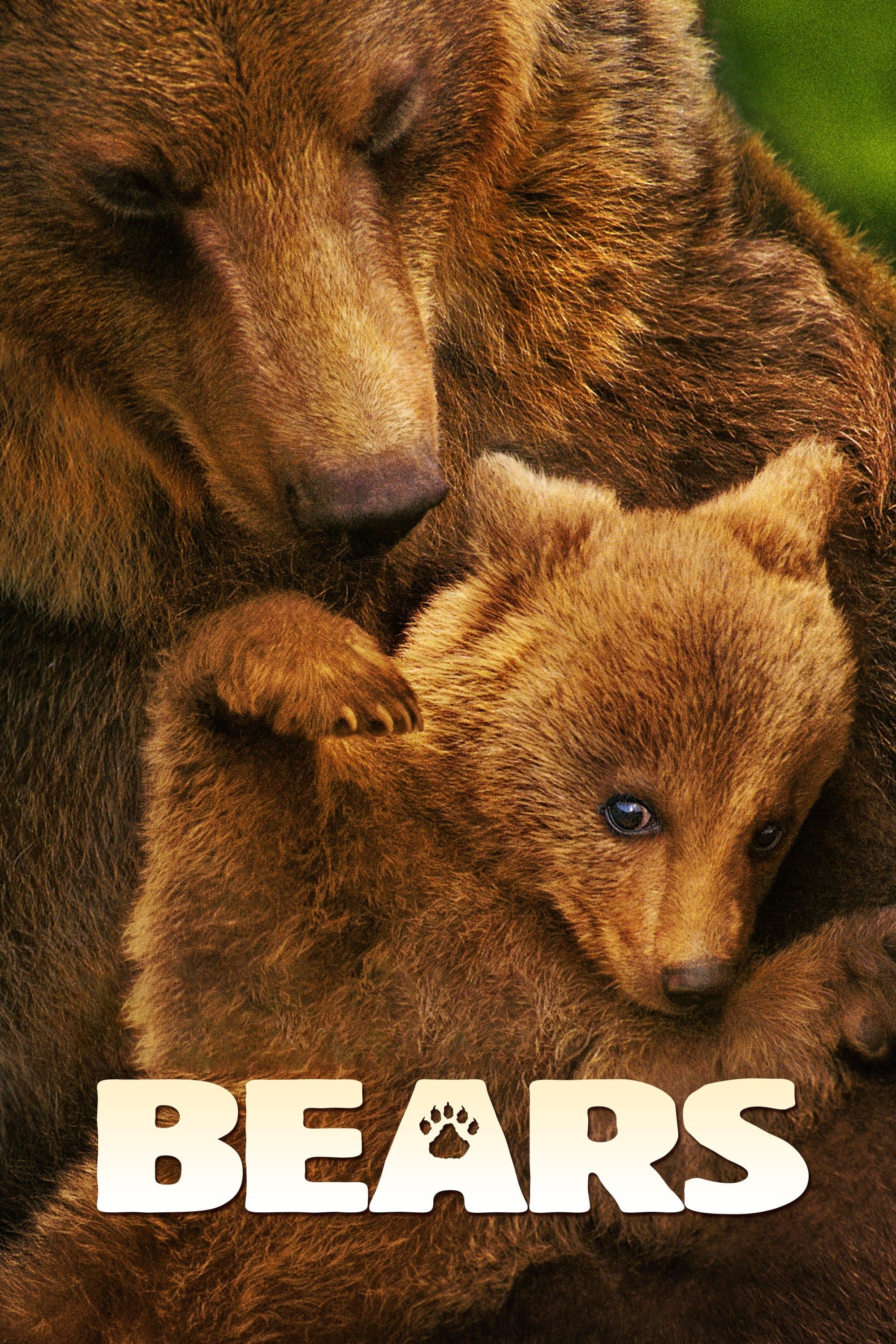 Bears full movie