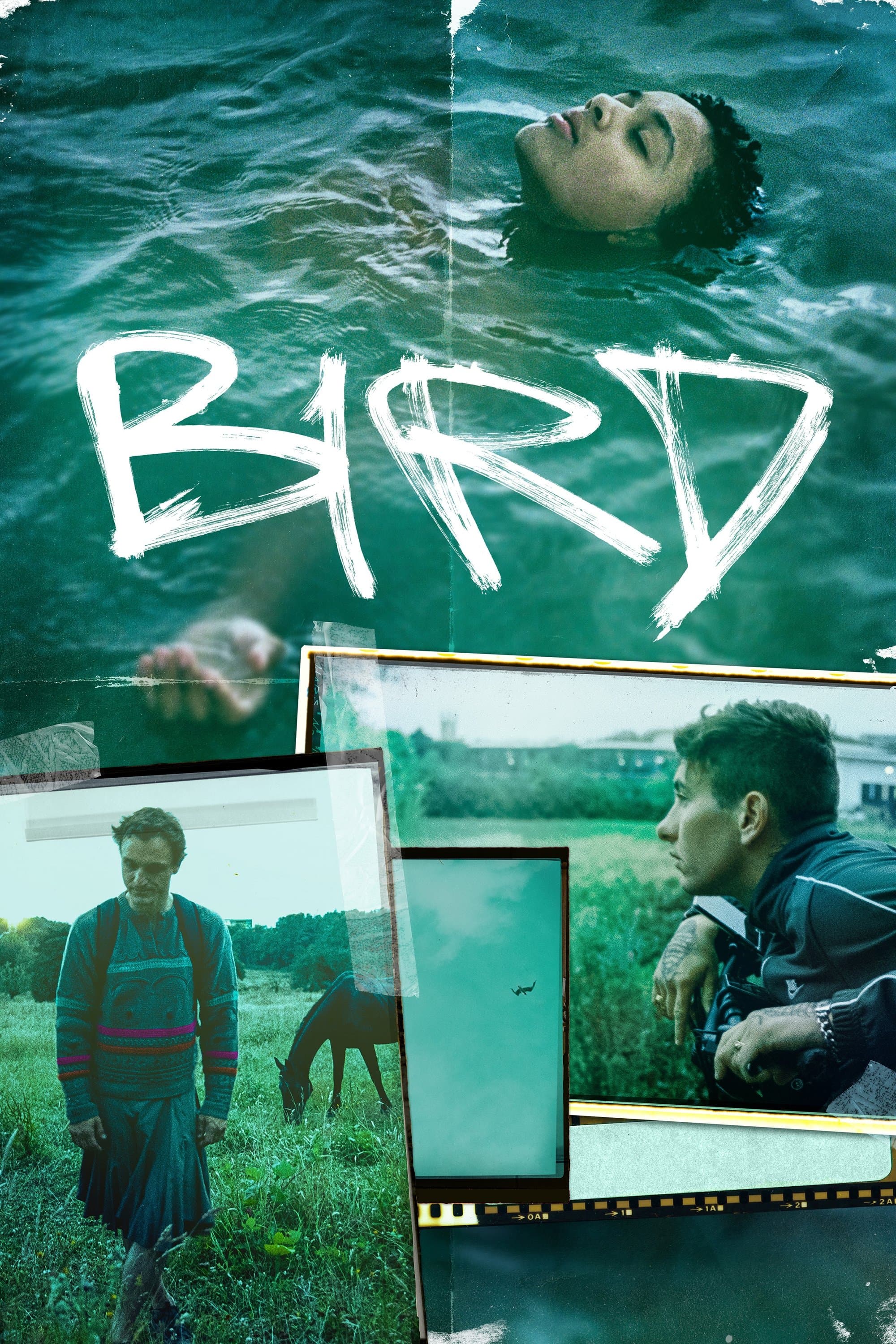 Bird full movie