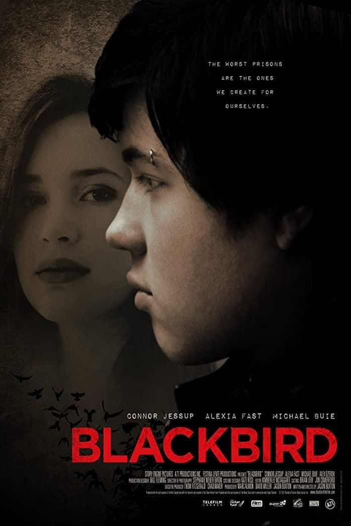 Blackbird full movie