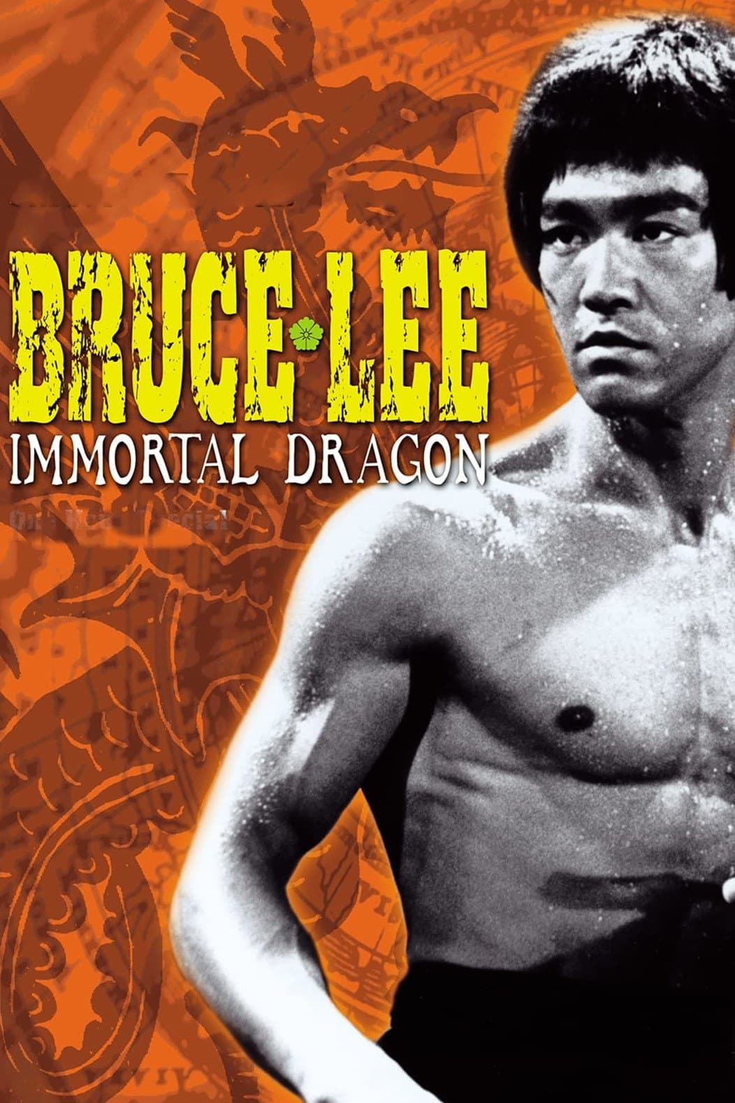 Bruce Lee: The Immortal Dragon full movie