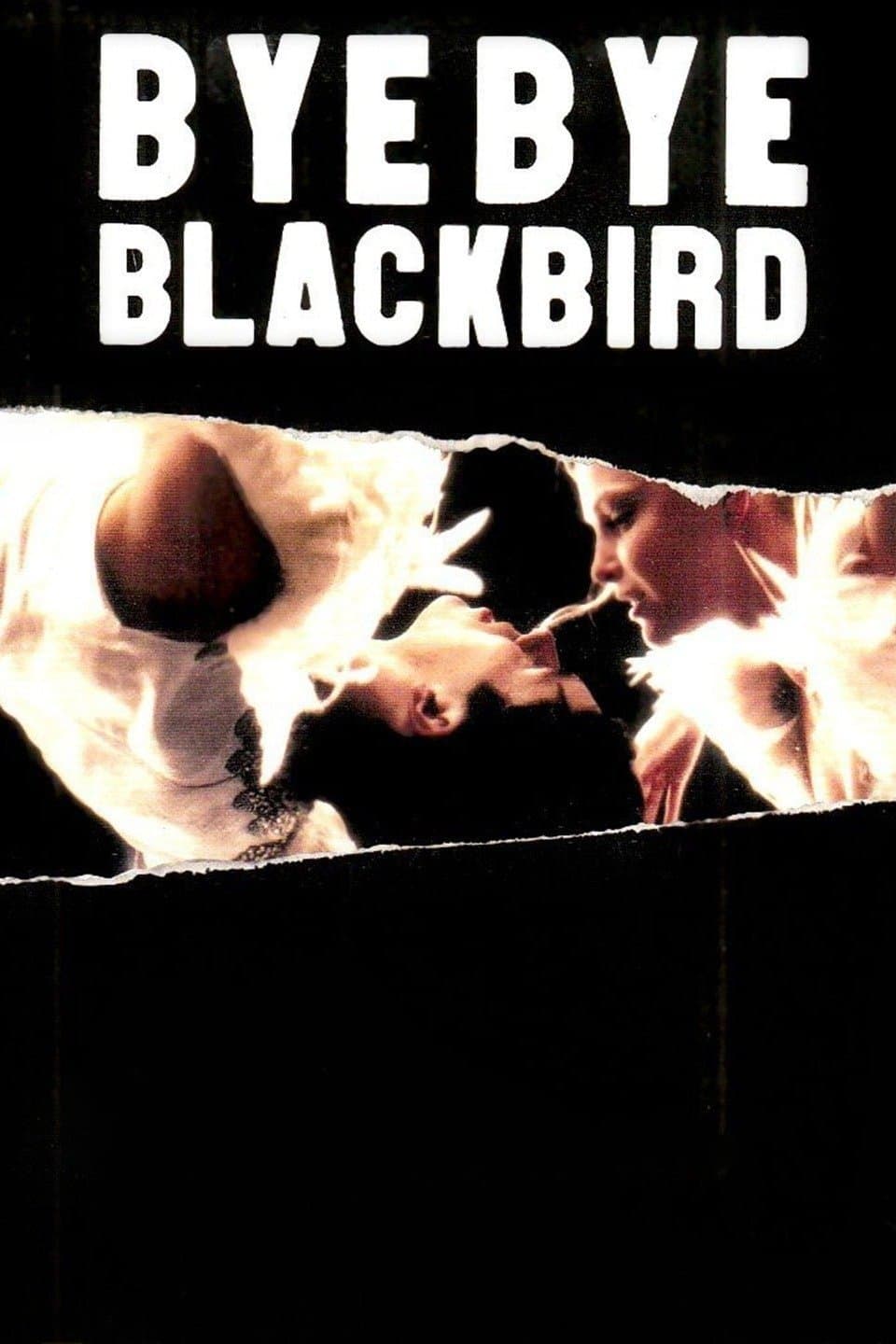 Bye Bye Blackbird full movie