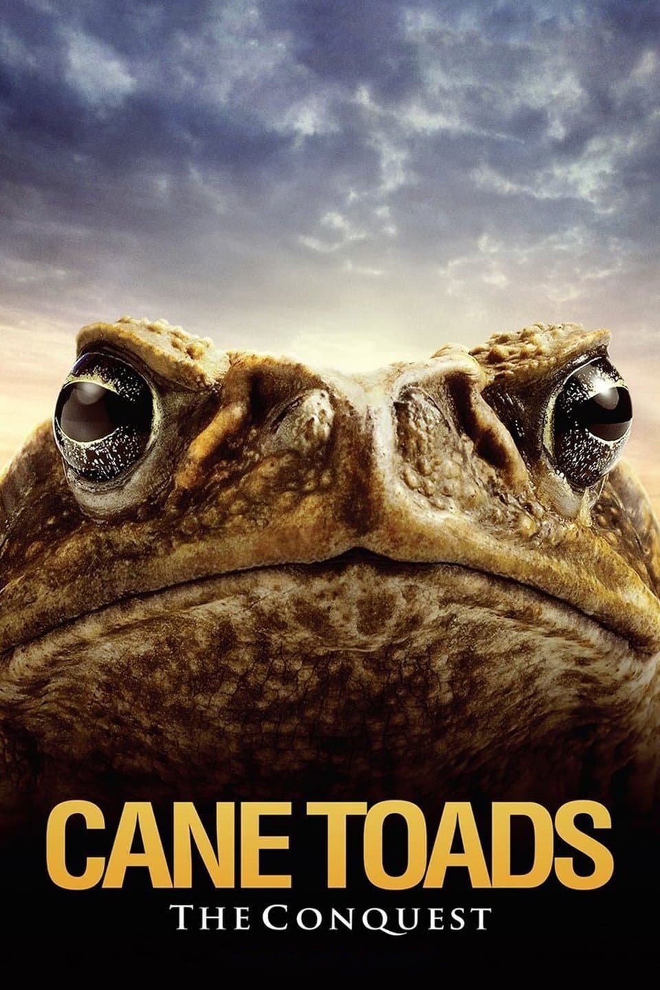 Cane Toads: The Conquest full movie