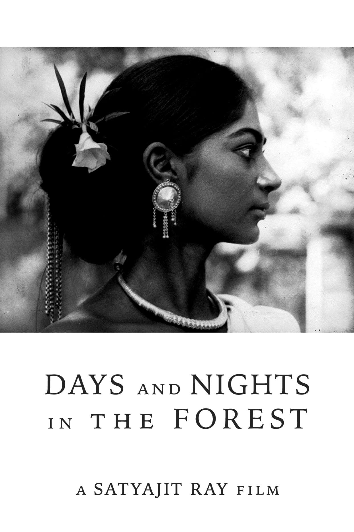 Days and Nights in the Forest full movie