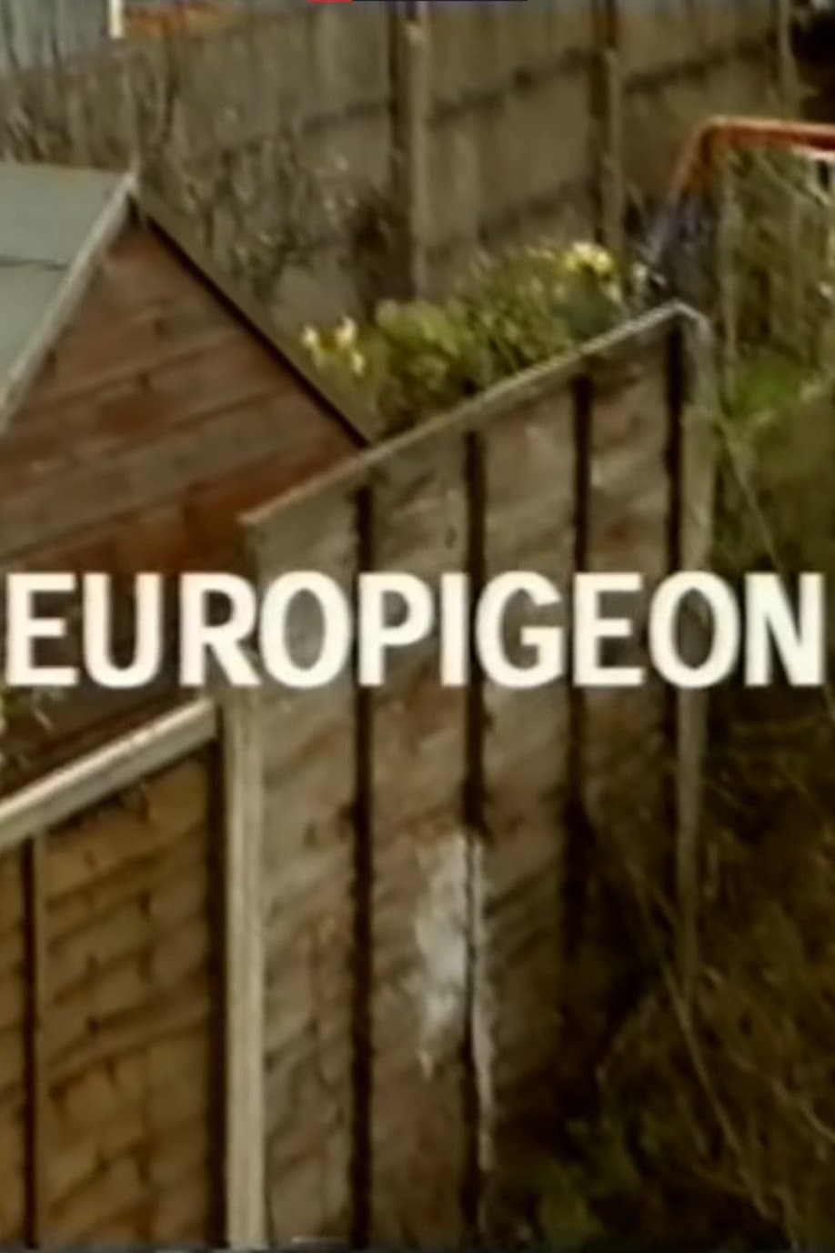 Europigeon full movie