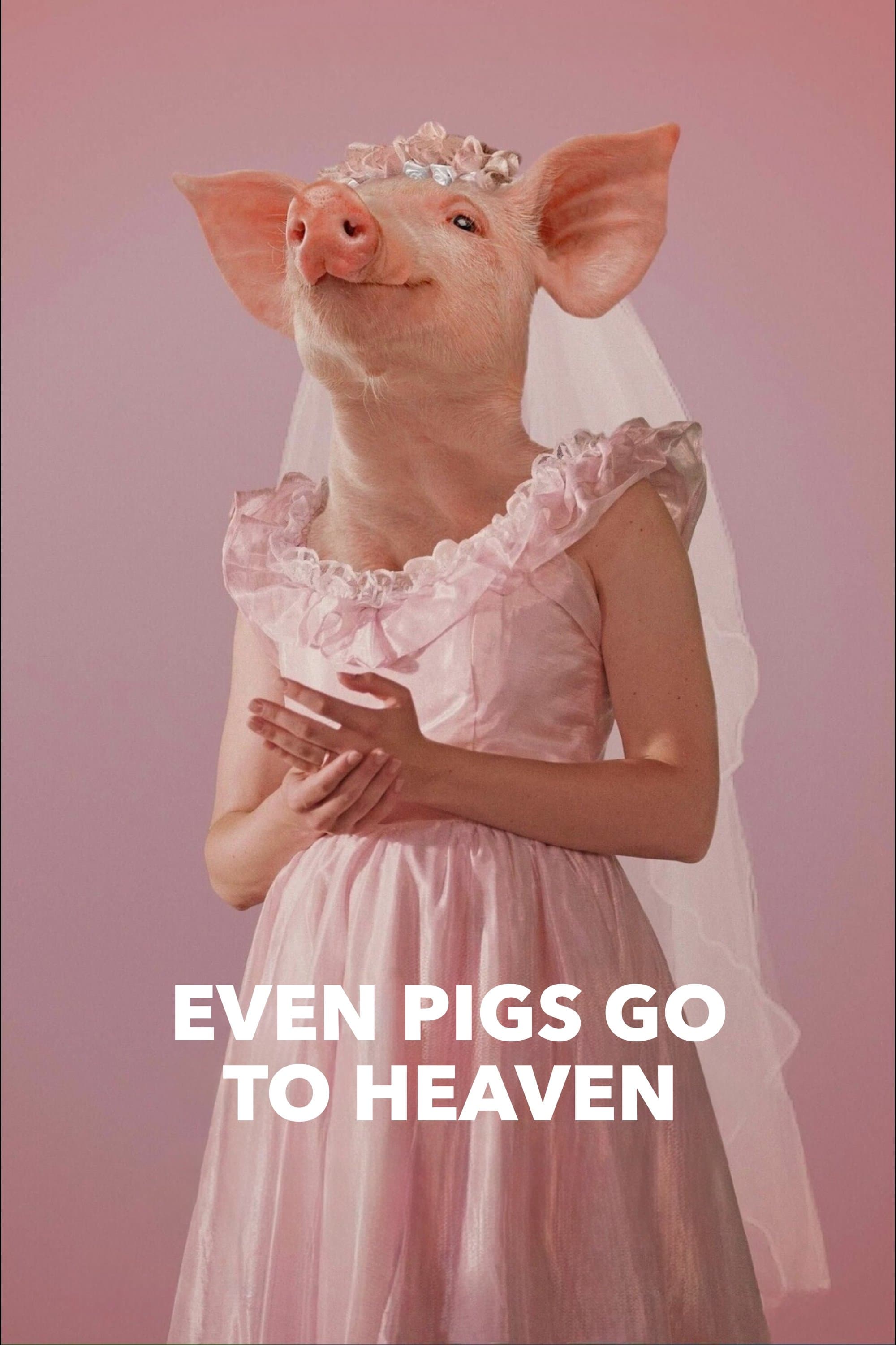 Even Pigs Go to Heaven full movie