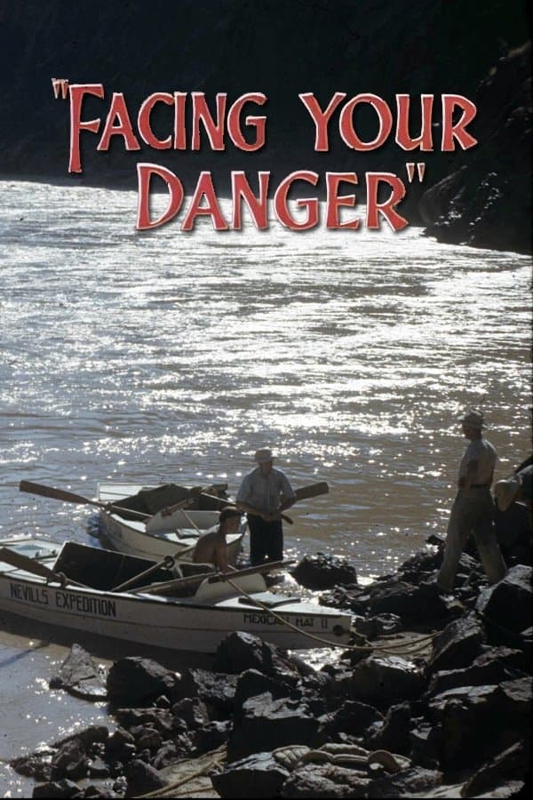 Facing Your Danger full movie