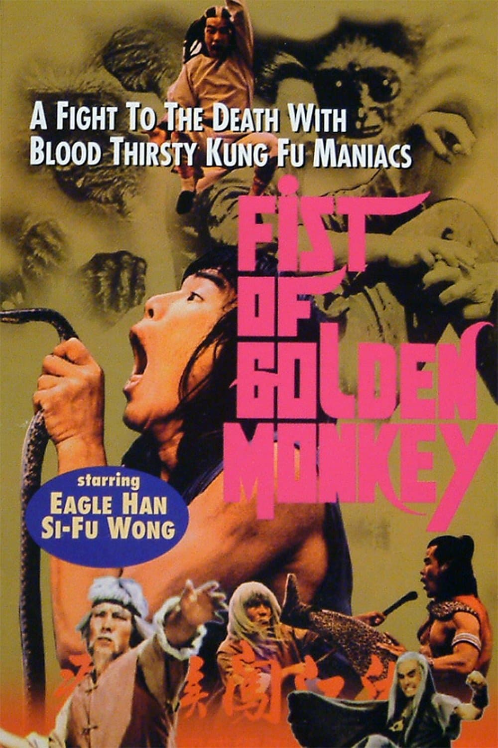Fist Of Golden Monkey full movie