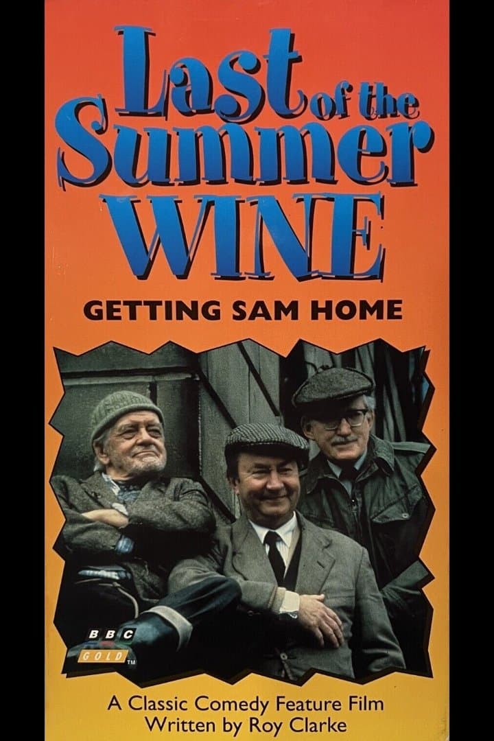 Getting Sam Home full movie