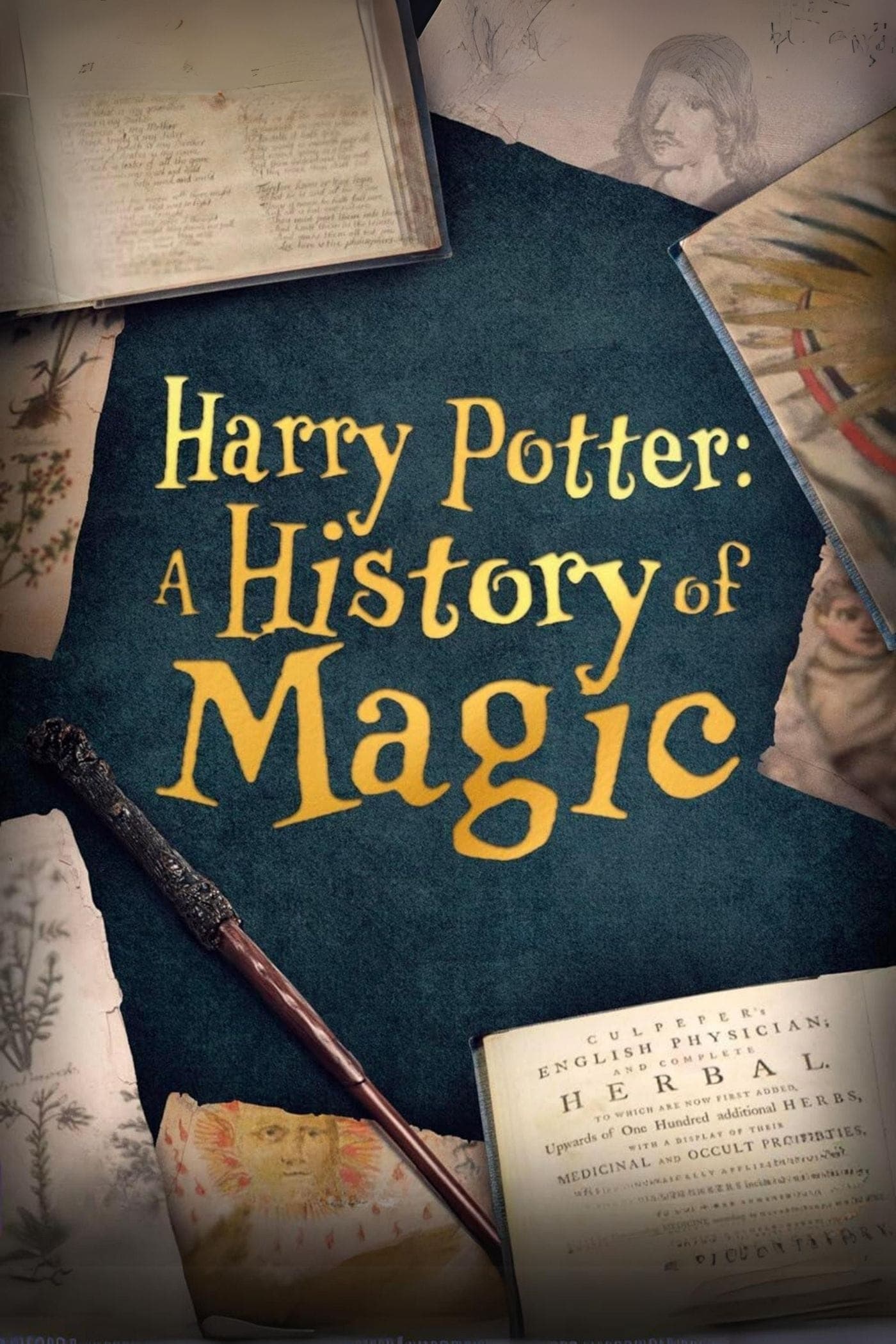 Harry Potter: A History Of Magic full movie