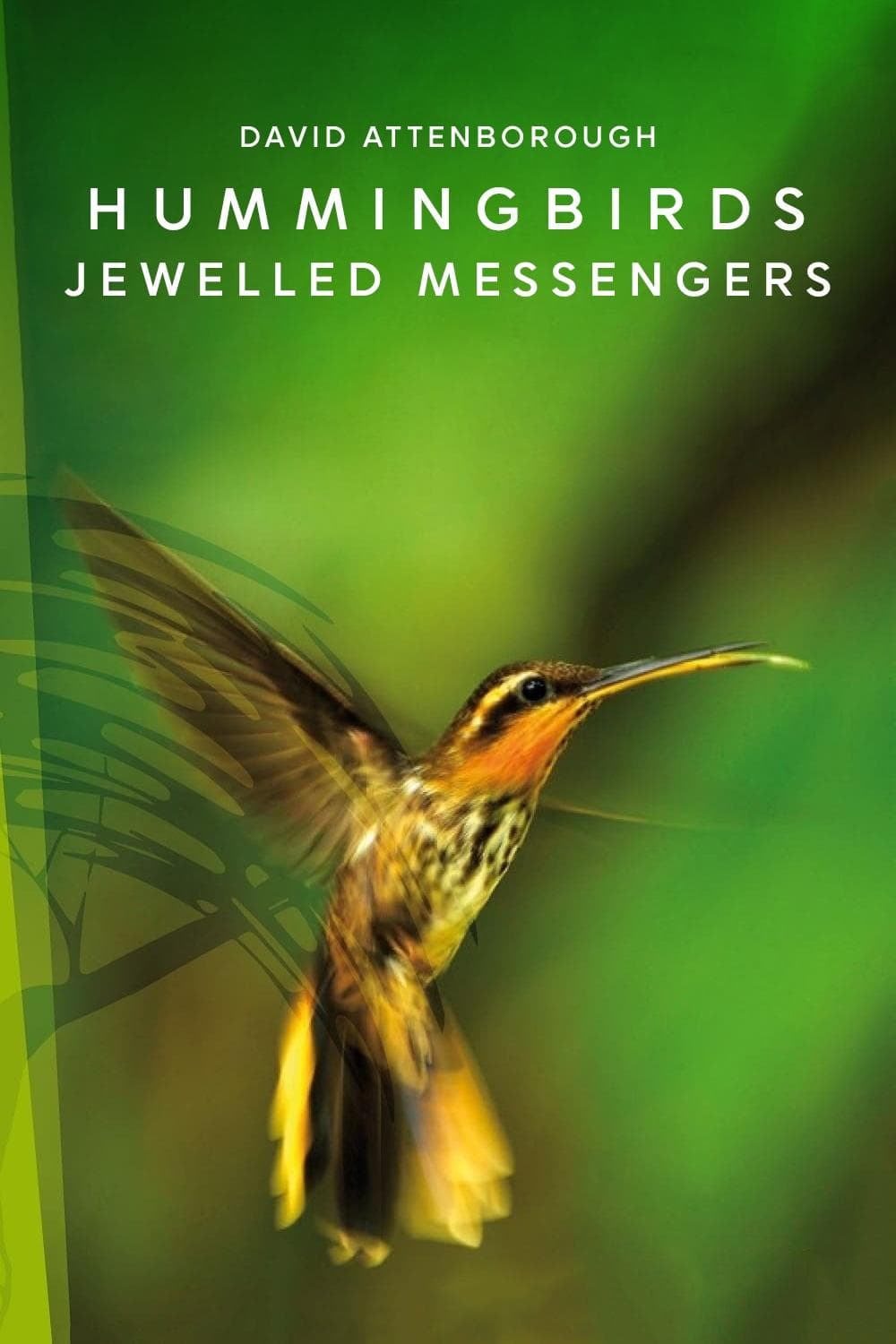 Hummingbirds: Jewelled Messengers full movie