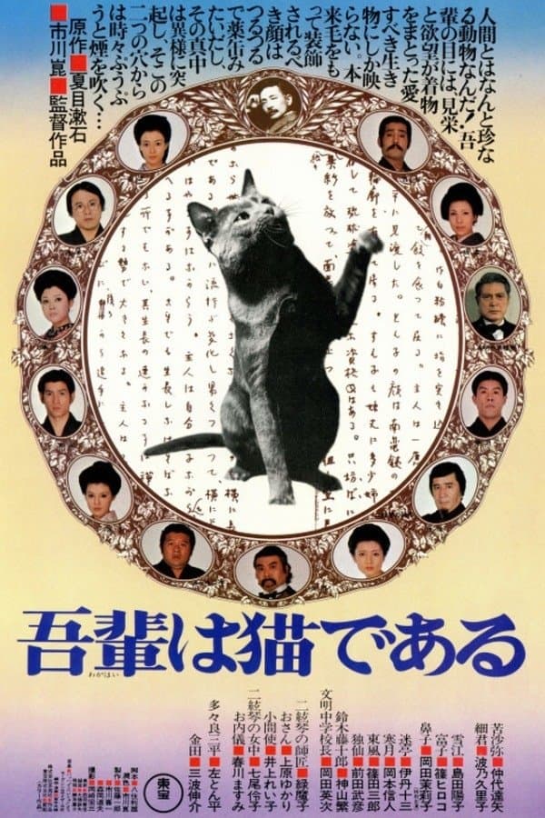 I Am a Cat full movie