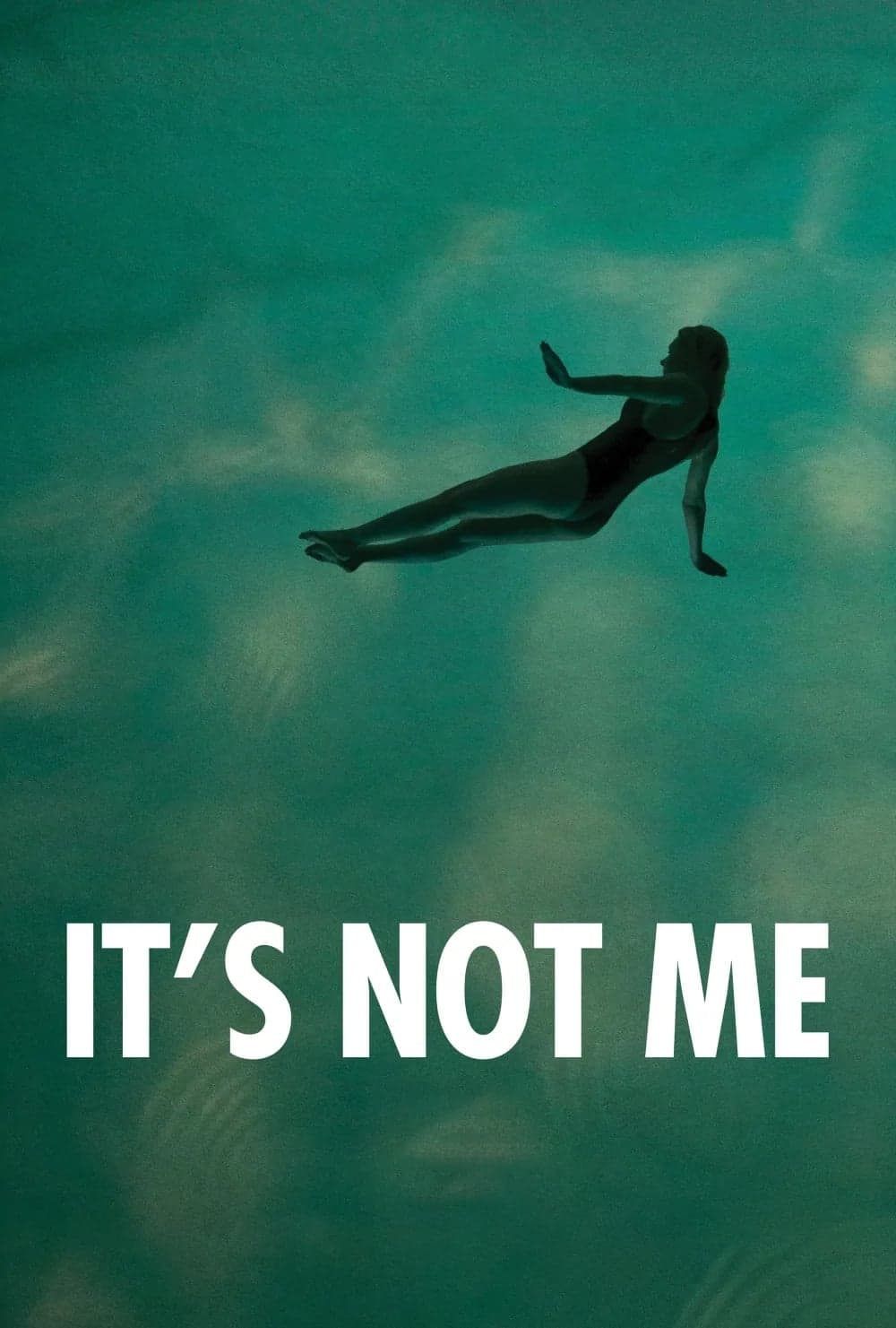 It's Not Me full movie