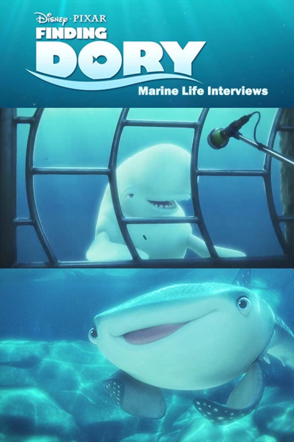 Marine Life Interviews full movie