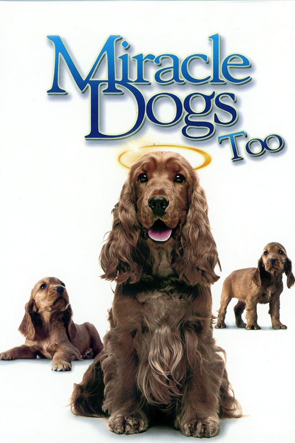 Miracle Dogs Too full movie