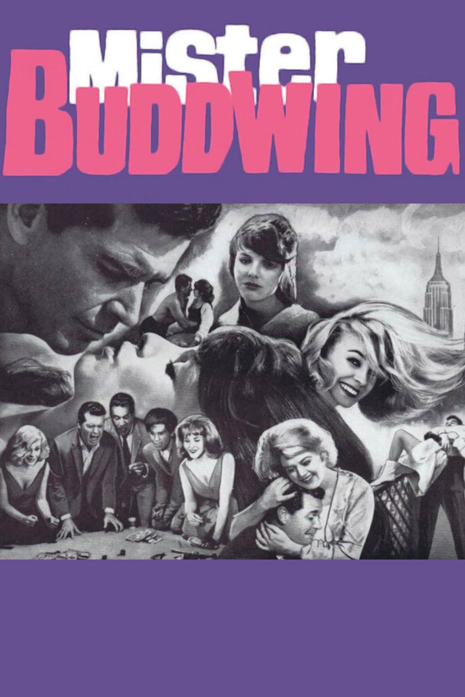 Mister Buddwing full movie