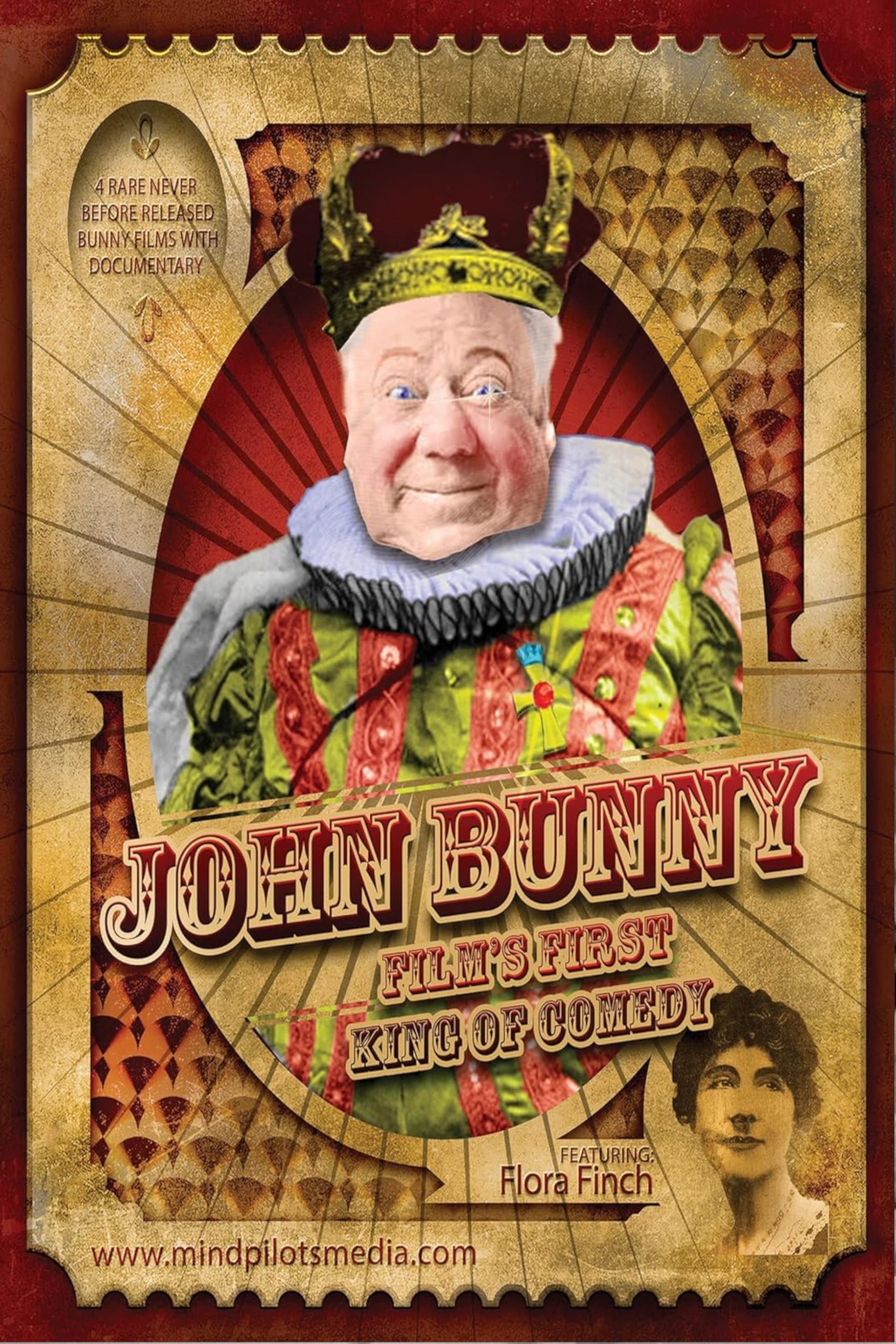 Mr. Bunny in Disguise full movie