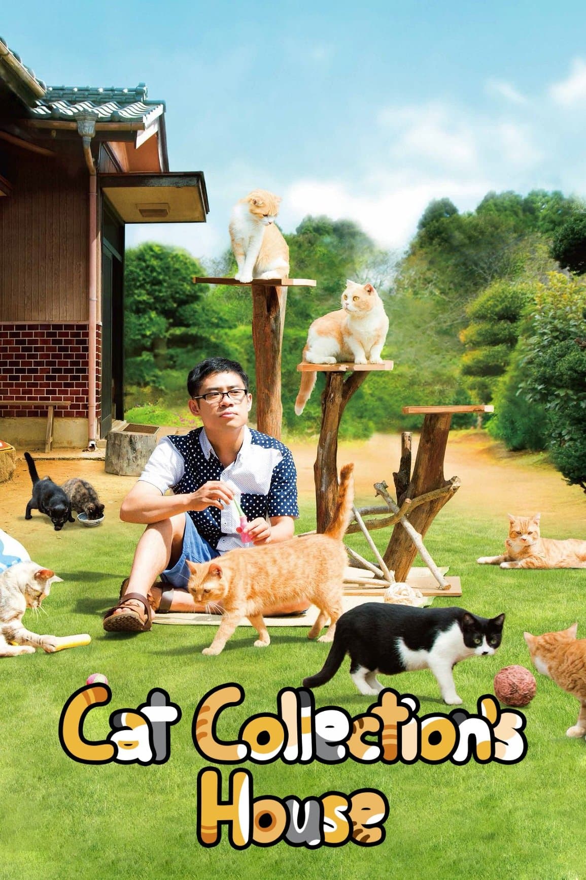 Neko Atsume House full movie