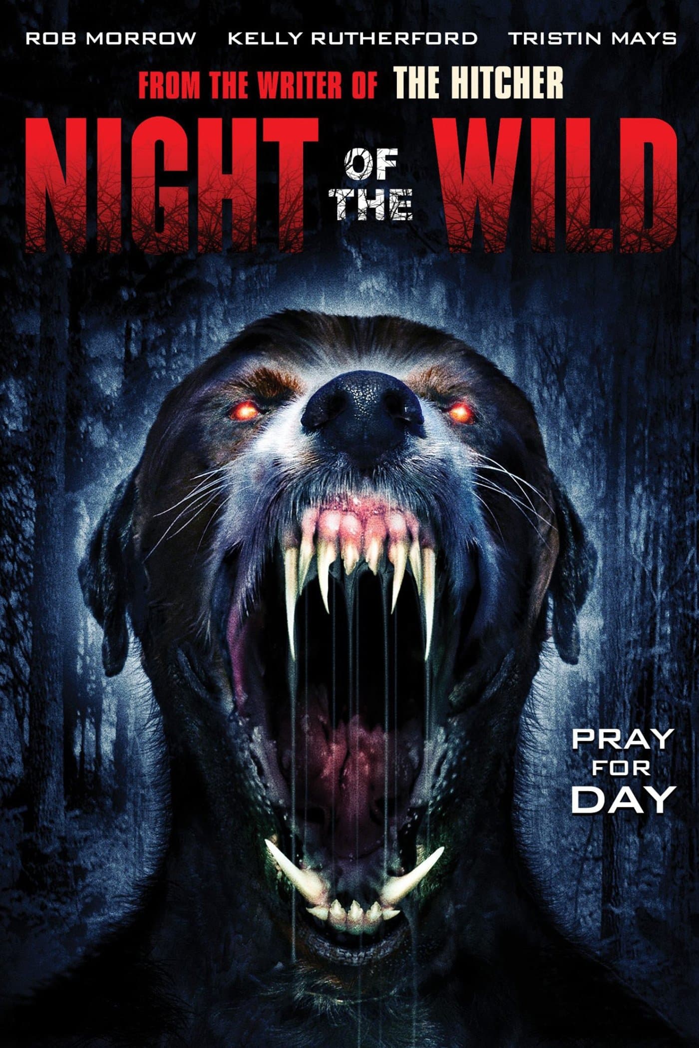 Night of the Wild full movie