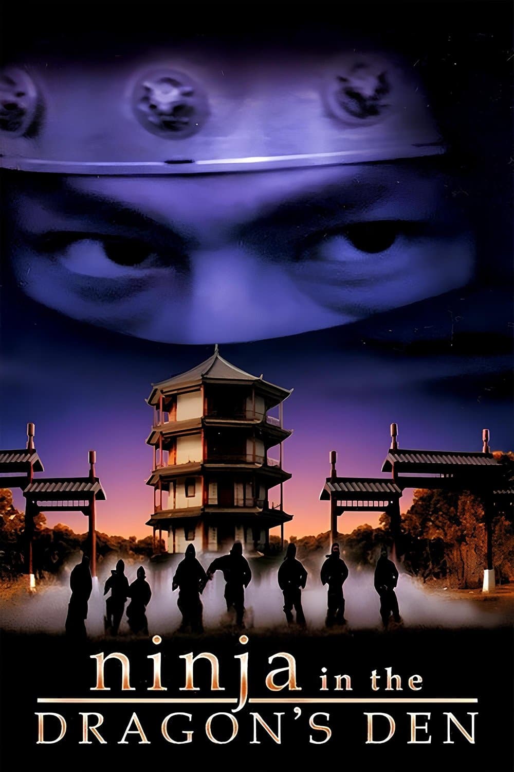 Ninja in the Dragon's Den full movie