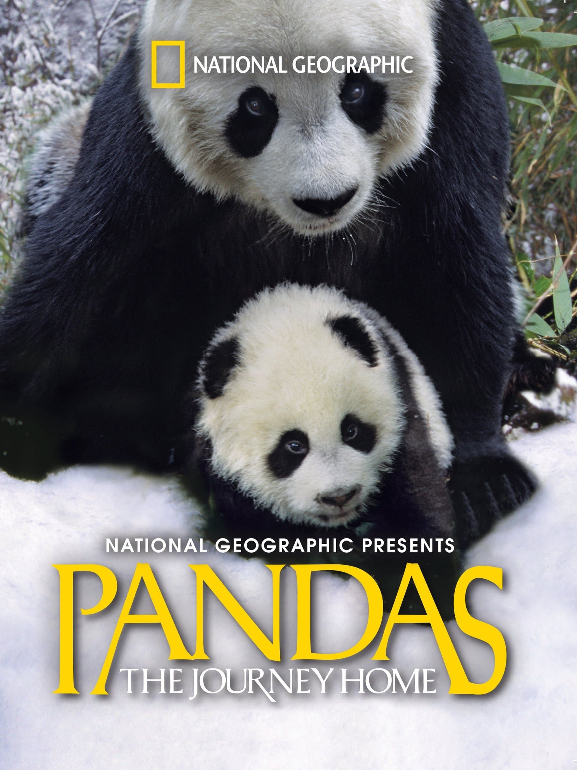 Pandas: The Journey Home full movie