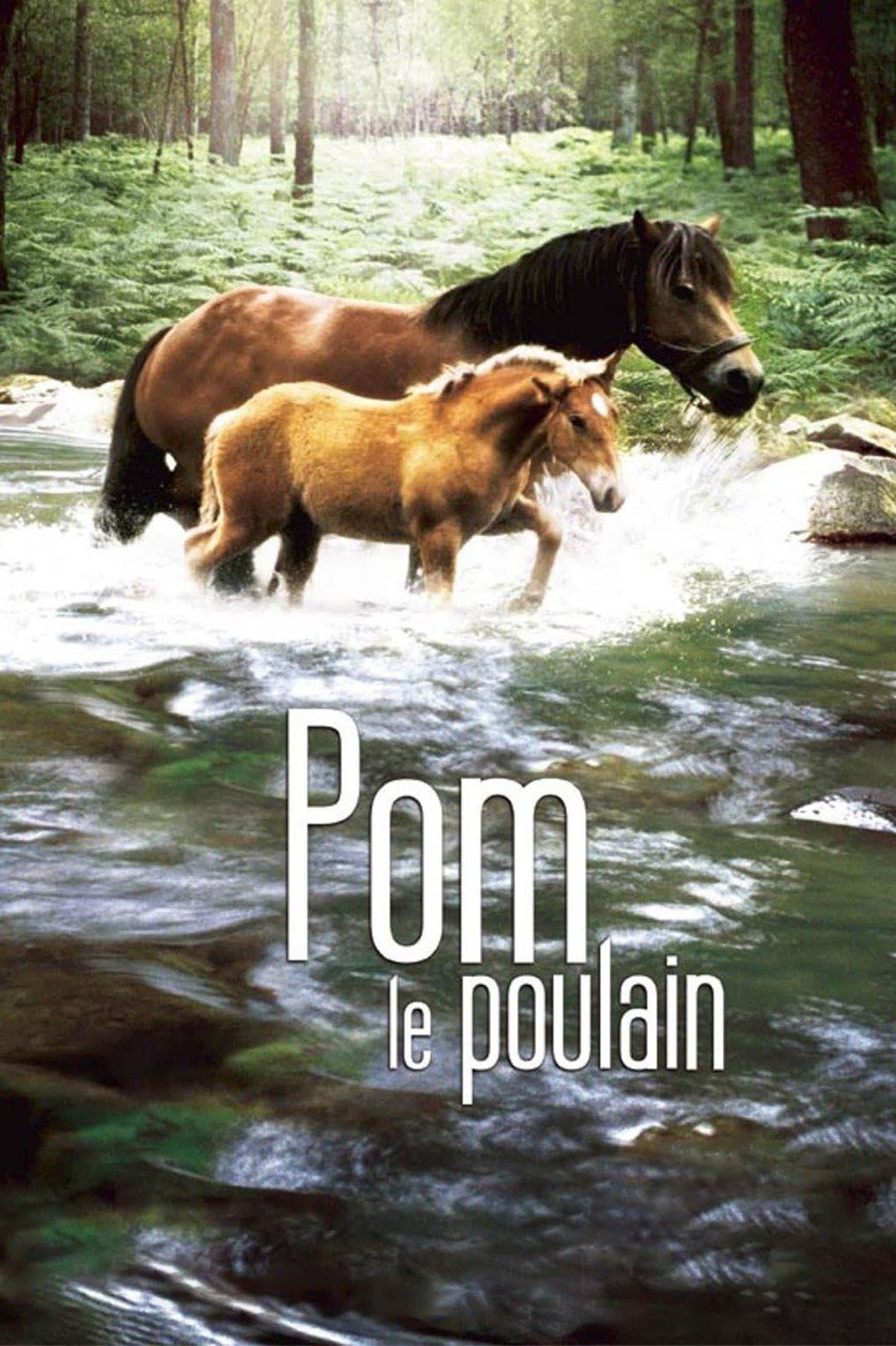 Pom, le poulain full movie