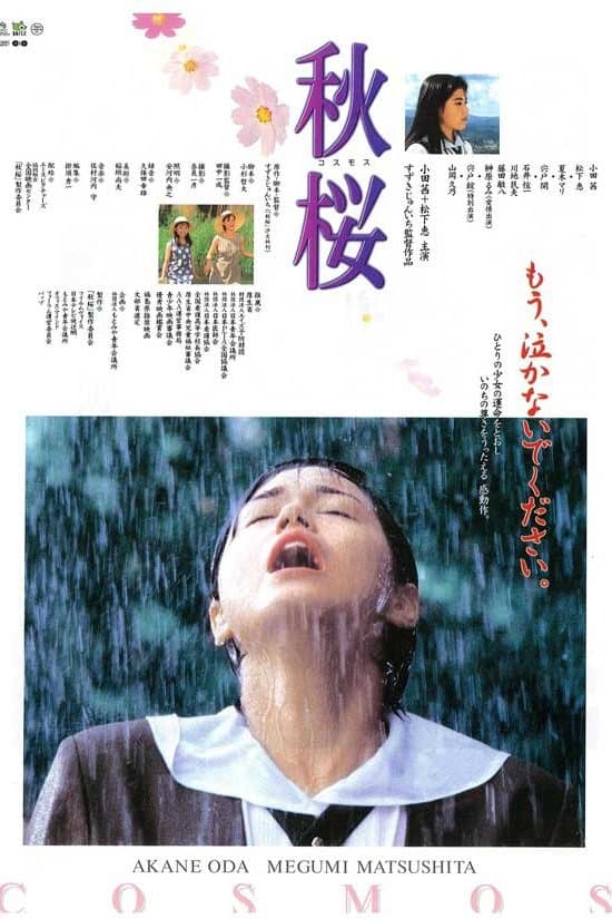 Remembering the Cosmos Flower full movie