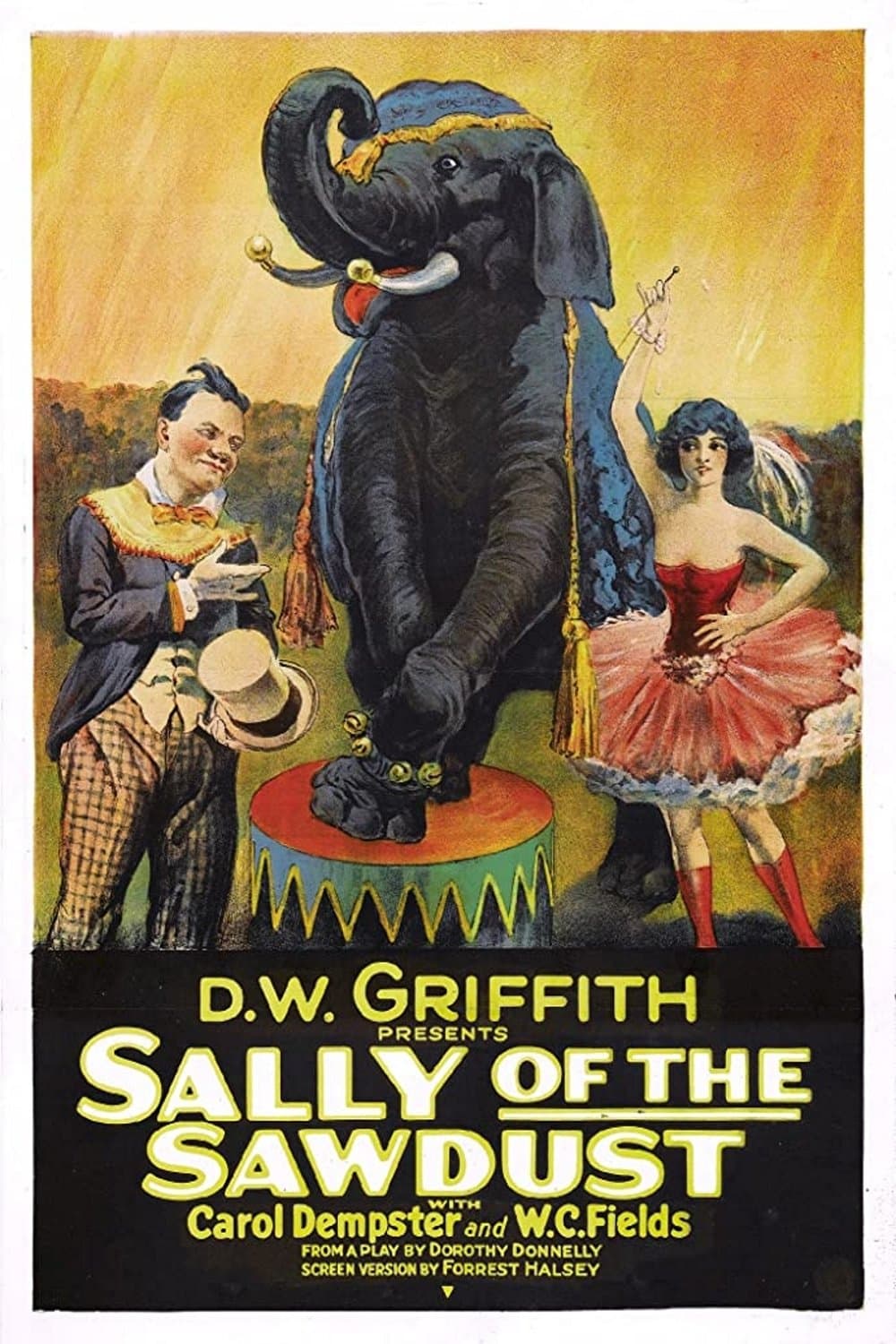 Sally of the Sawdust full movie