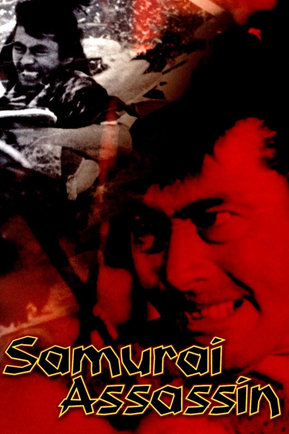 Samurai Assassin full movie