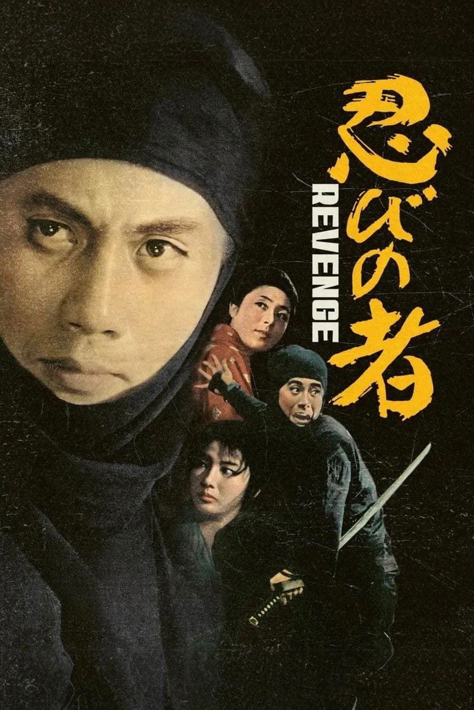 Shinobi no Mono 2: Vengeance full movie