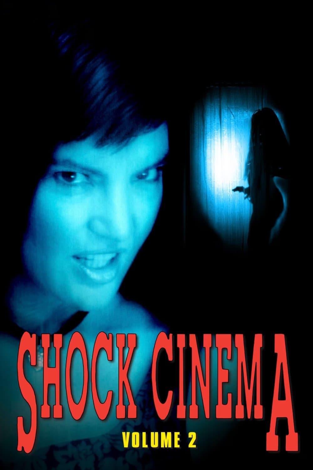 Shock Cinema: Volume Two full movie