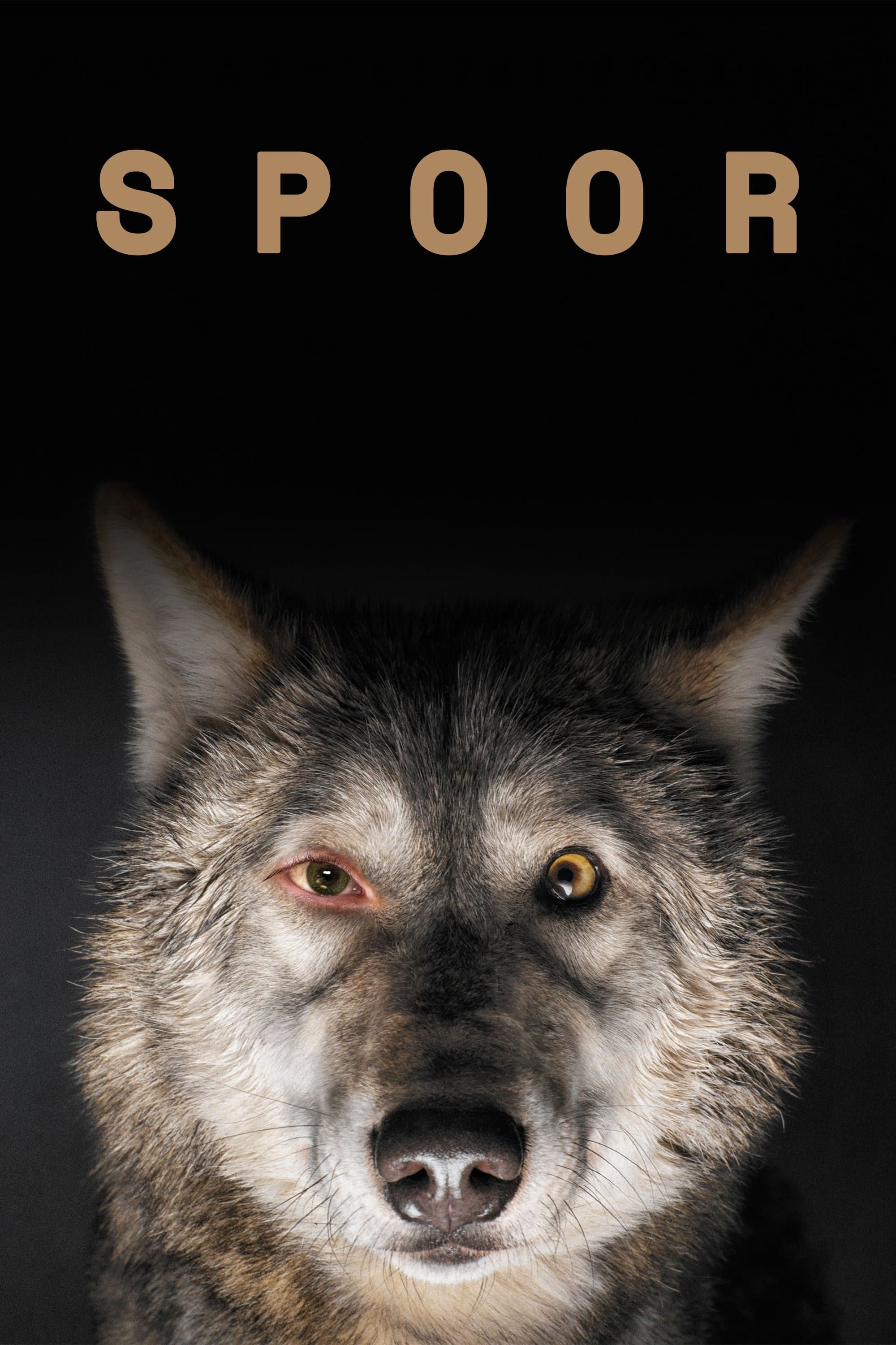Spoor full movie