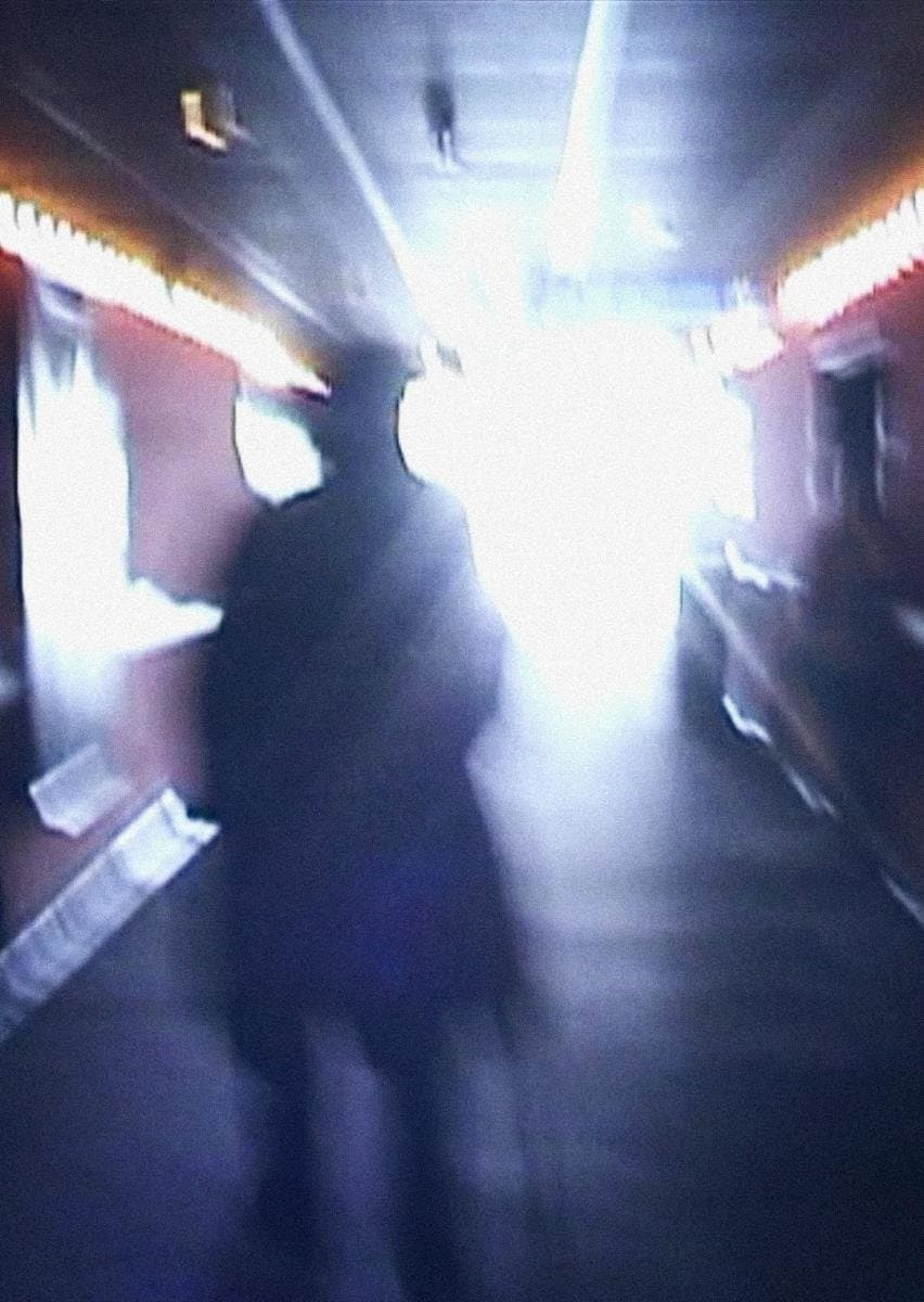 Stan Brakhage Exits the Cinema and Enters the Light of Day full movie