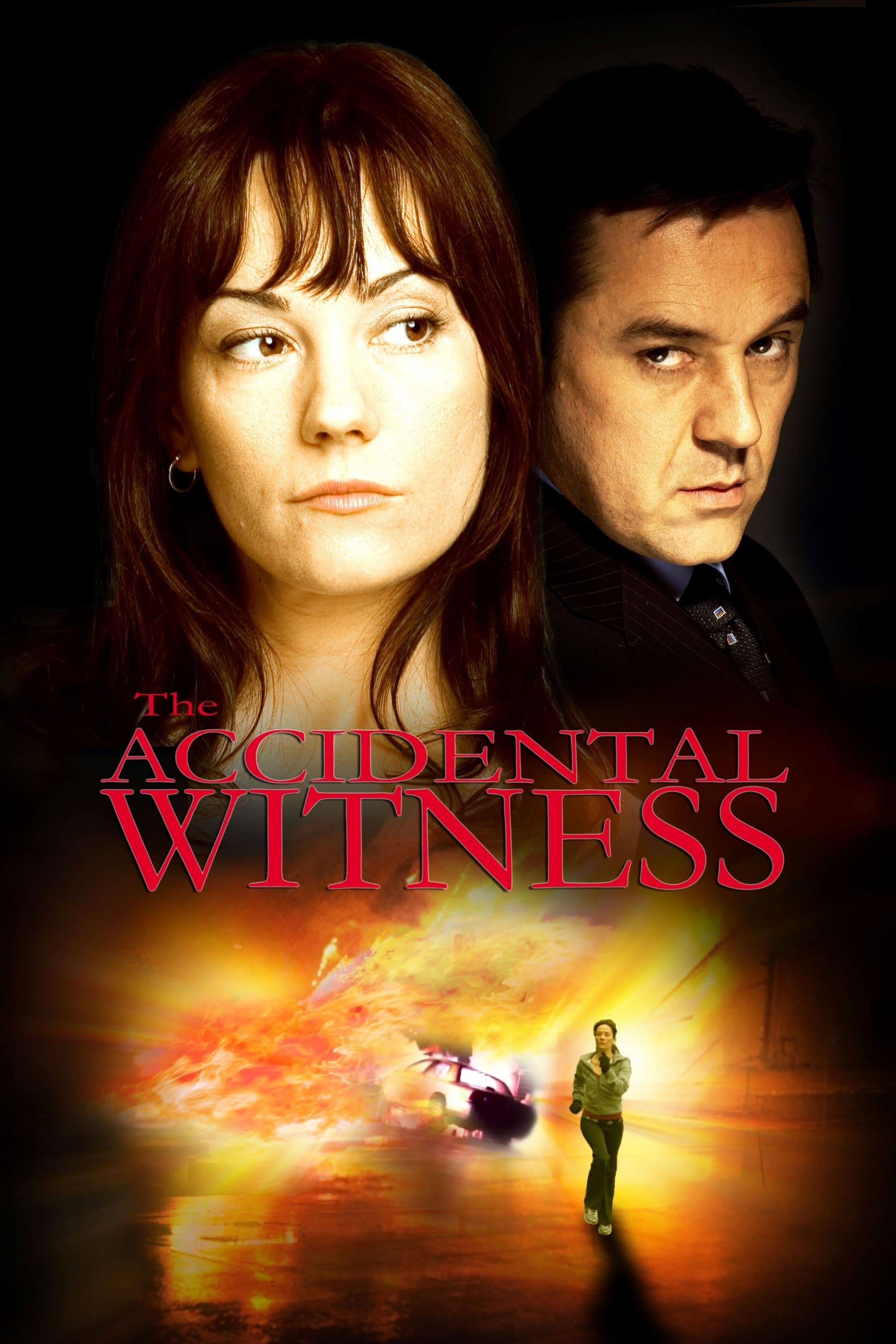 The Accidental Witness full movie