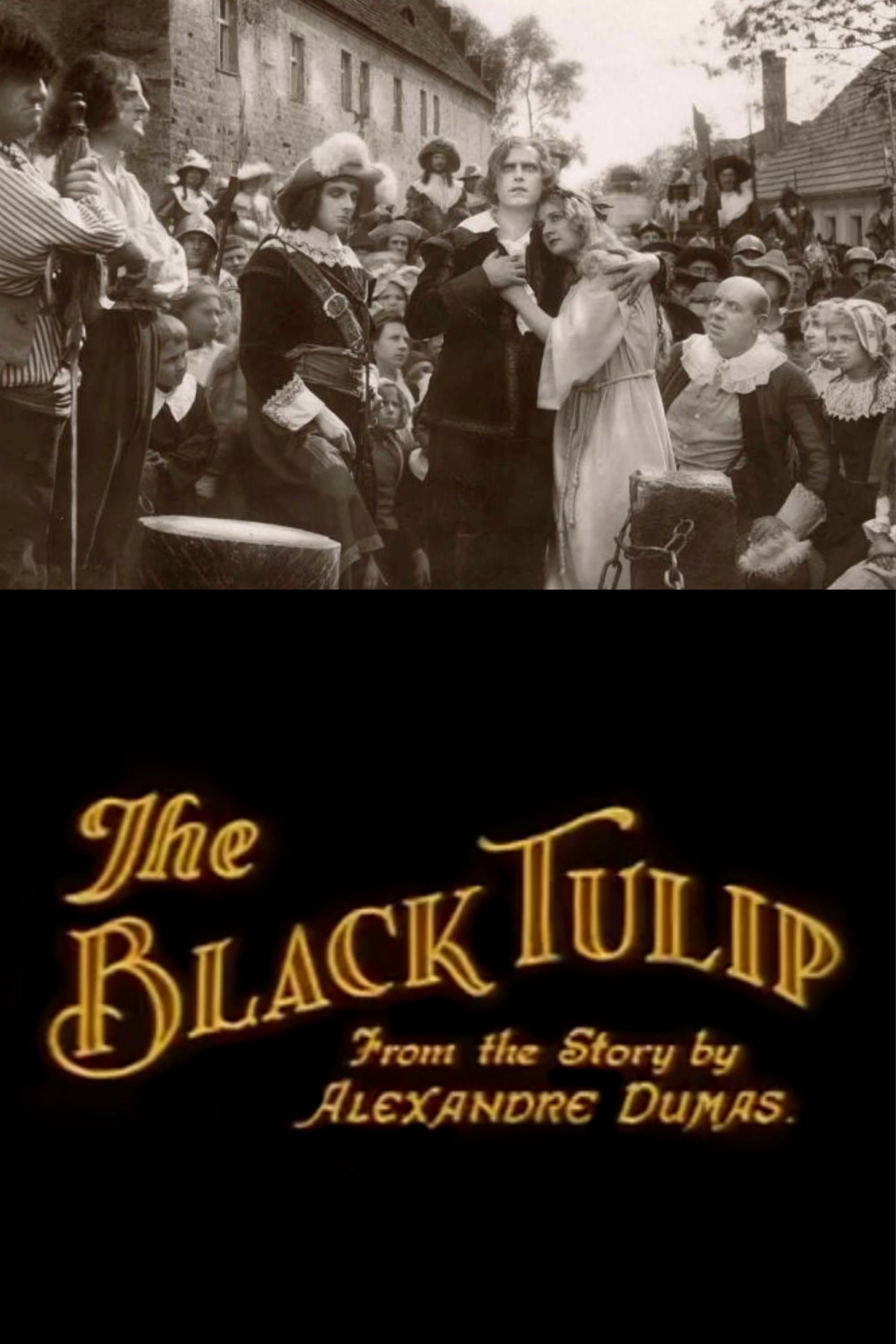 The Black Tulip full movie