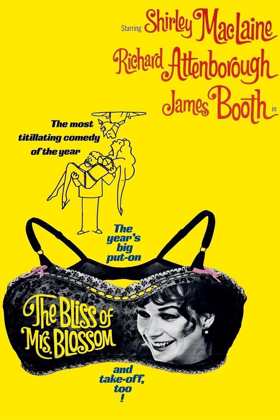 The Bliss of Mrs. Blossom full movie