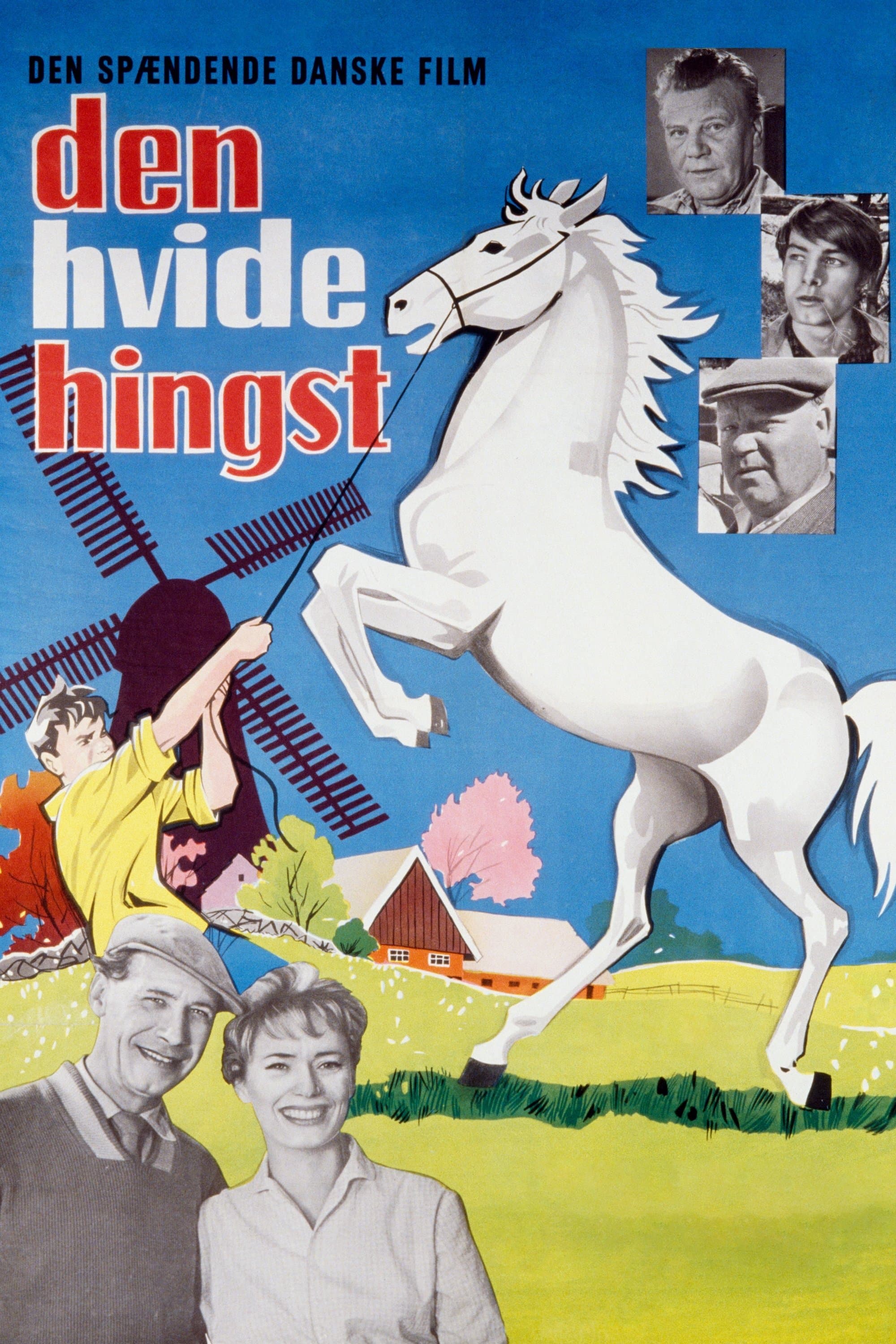 The Boy Who Loved Horses full movie