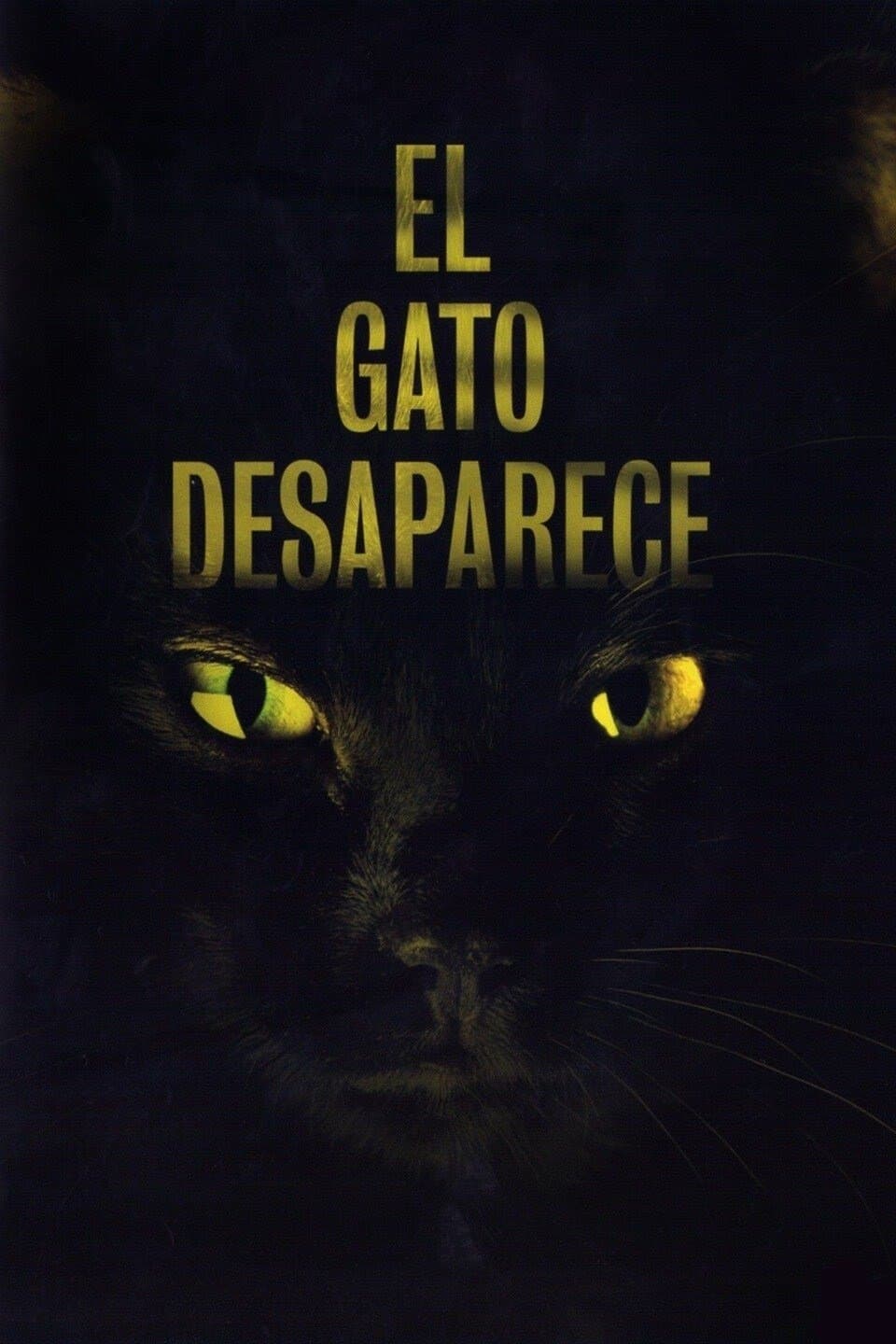 The Cat Vanishes full movie