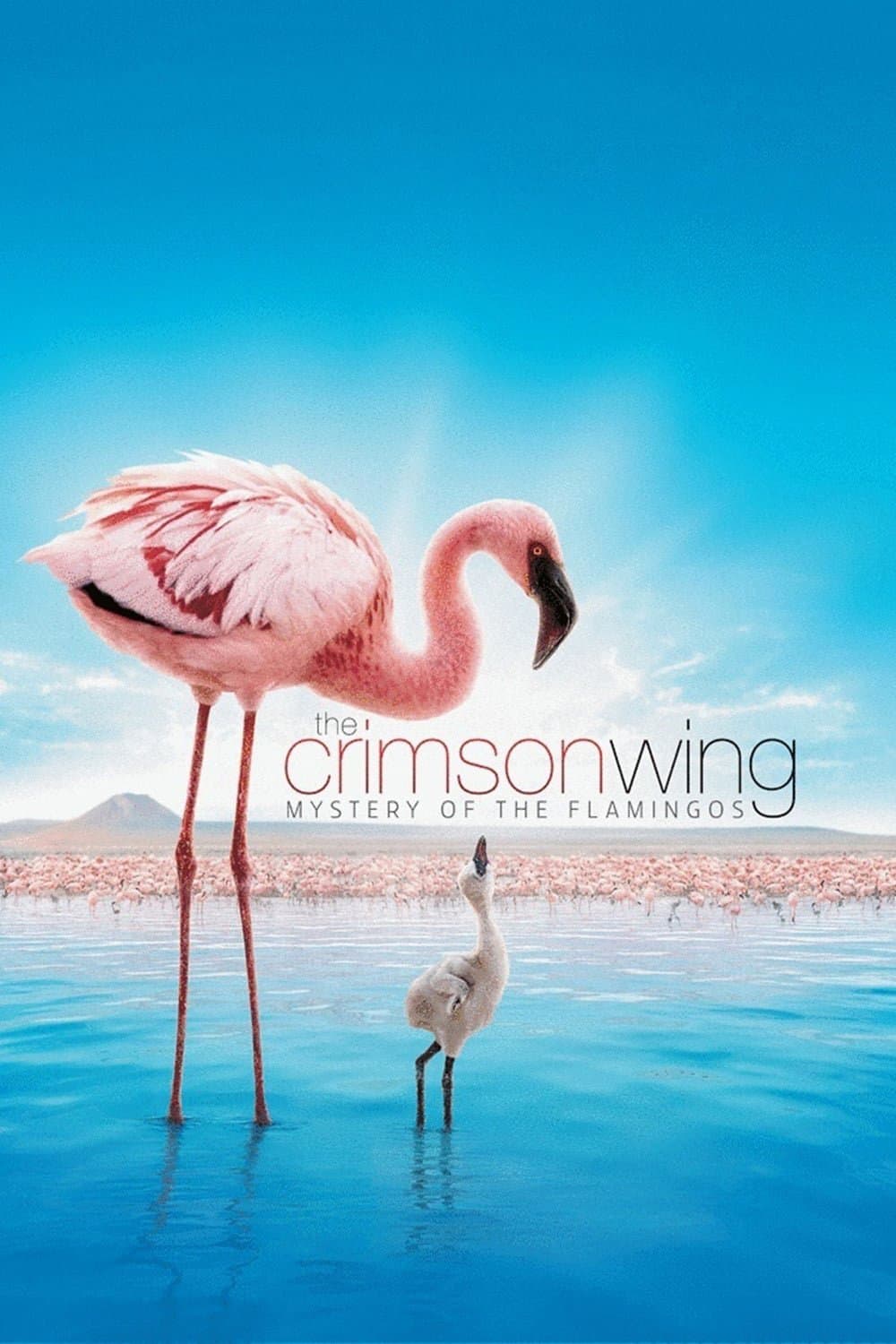 The Crimson Wing: Mystery of the Flamingos full movie