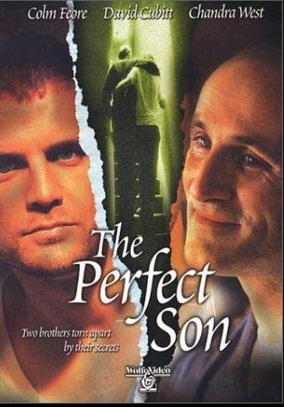 The Perfect Son full movie