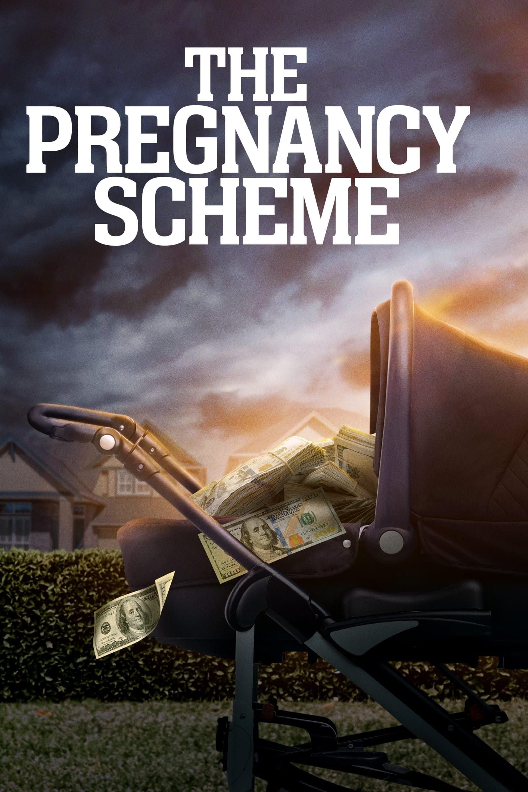 The Pregnancy Scheme full movie