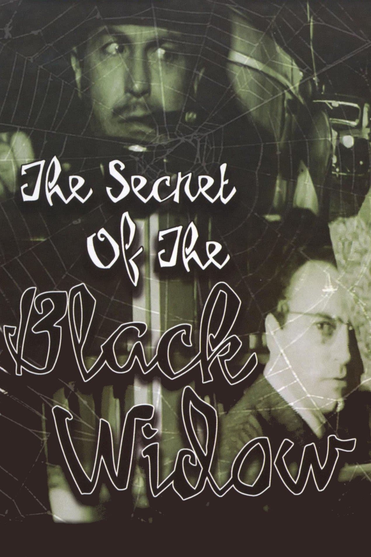 The Secret of the Black Widow full movie