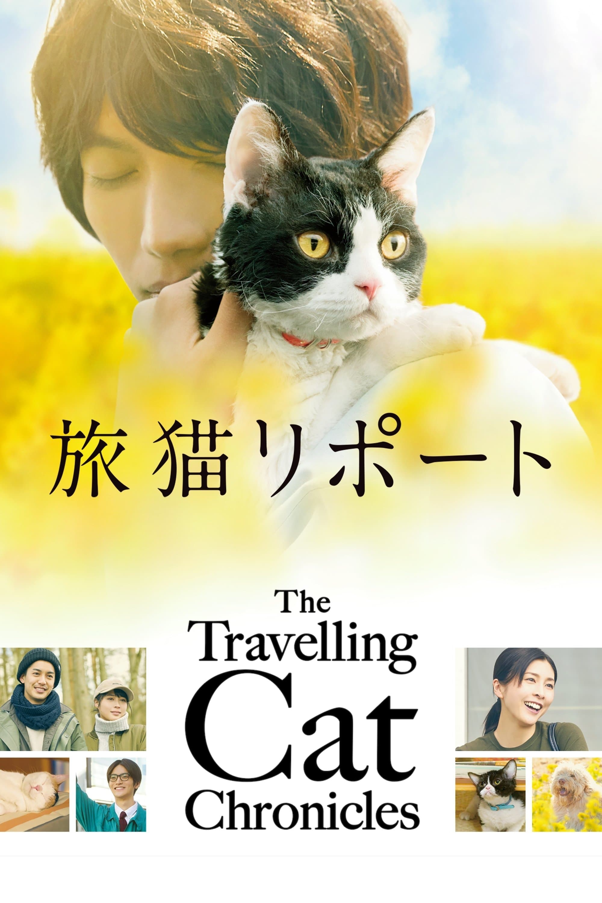 The Travelling Cat Chronicles full movie