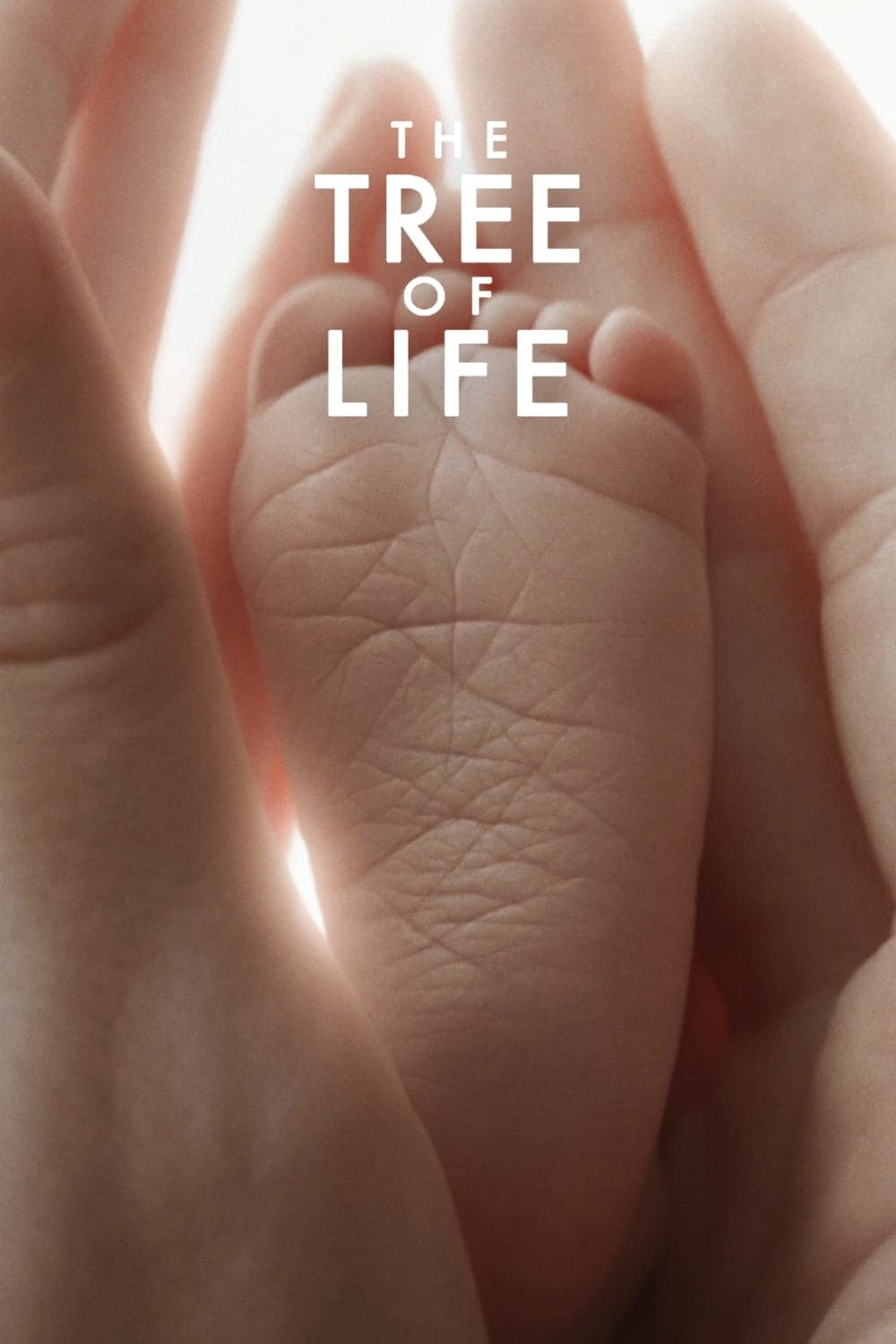 The Tree of Life full movie