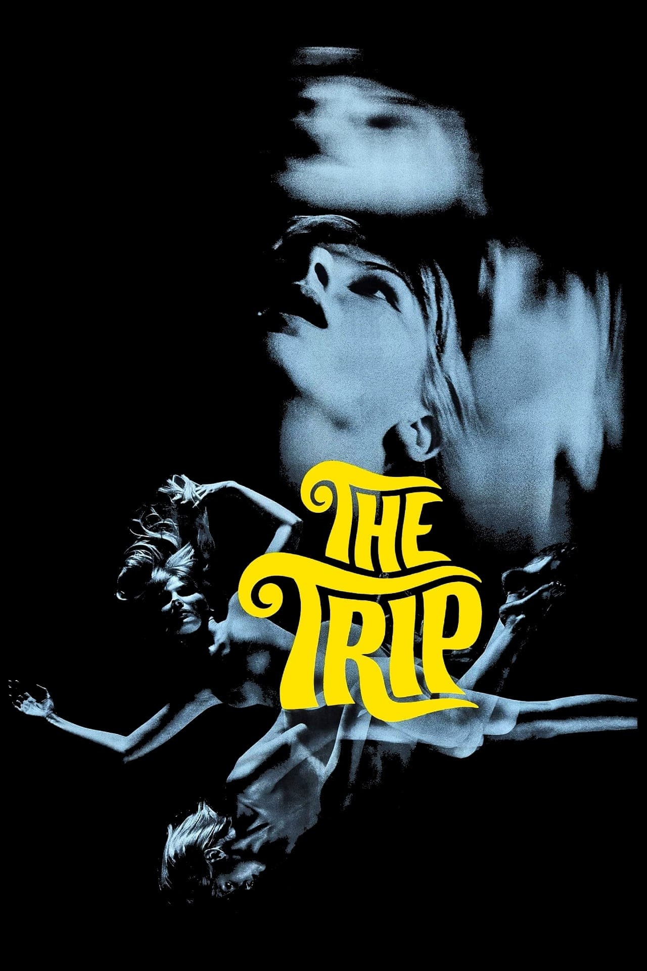 The Trip full movie