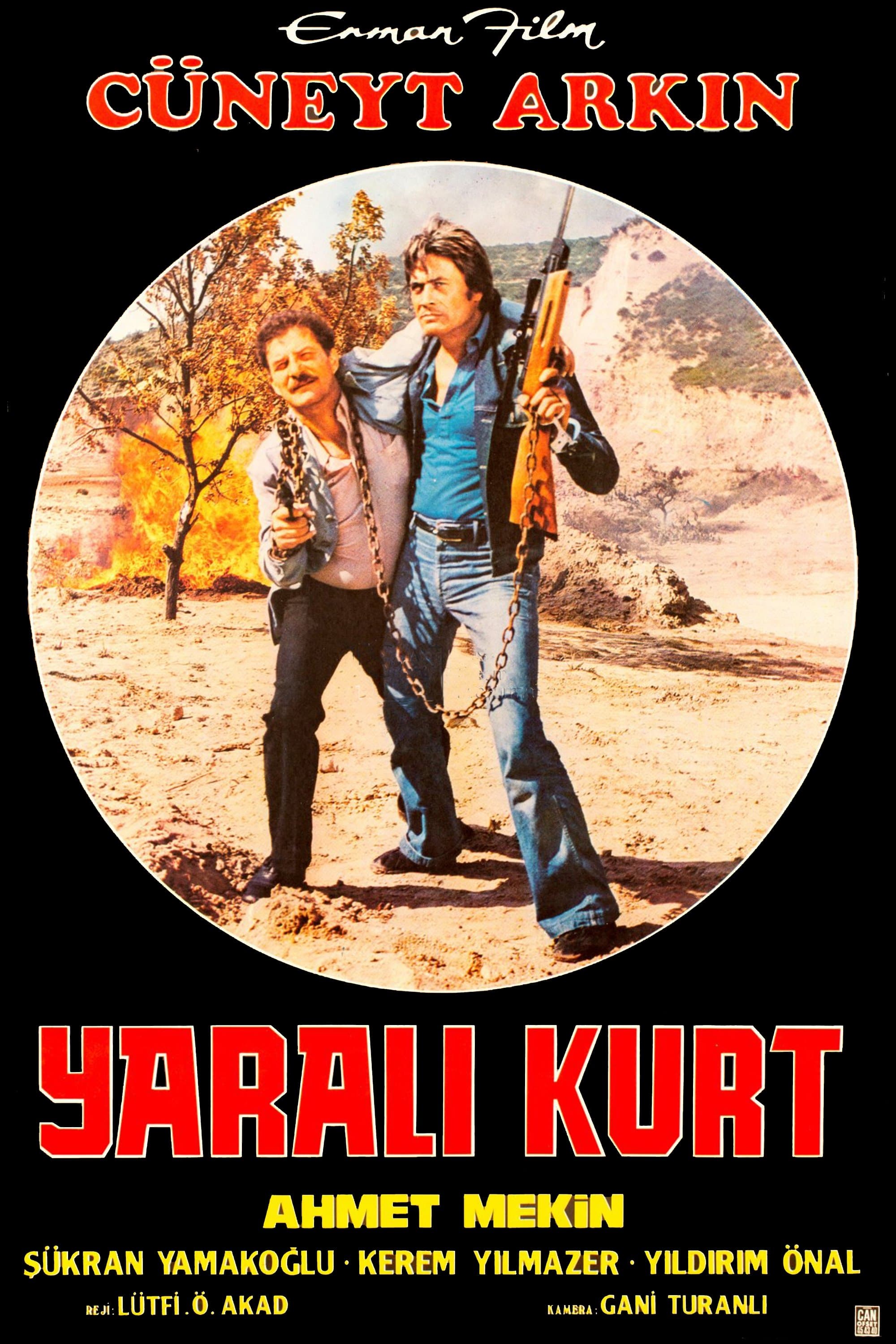 The Wounded Wolf full movie