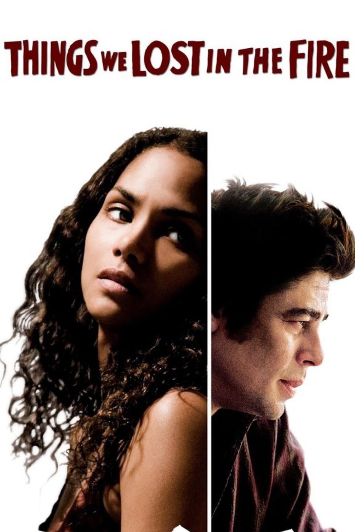 Things We Lost in the Fire full movie